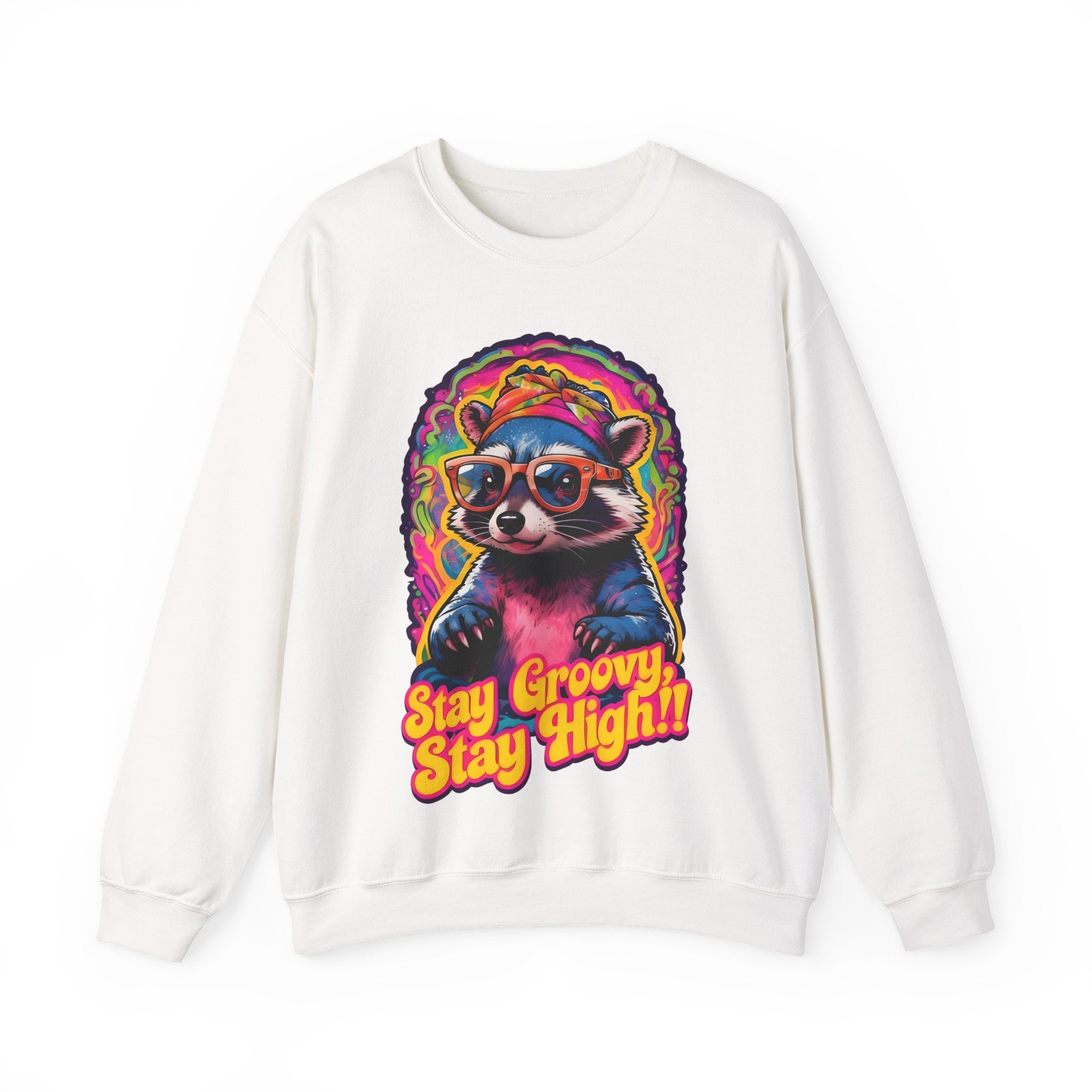 Stay Groovy Raccoon Sweatshirt
