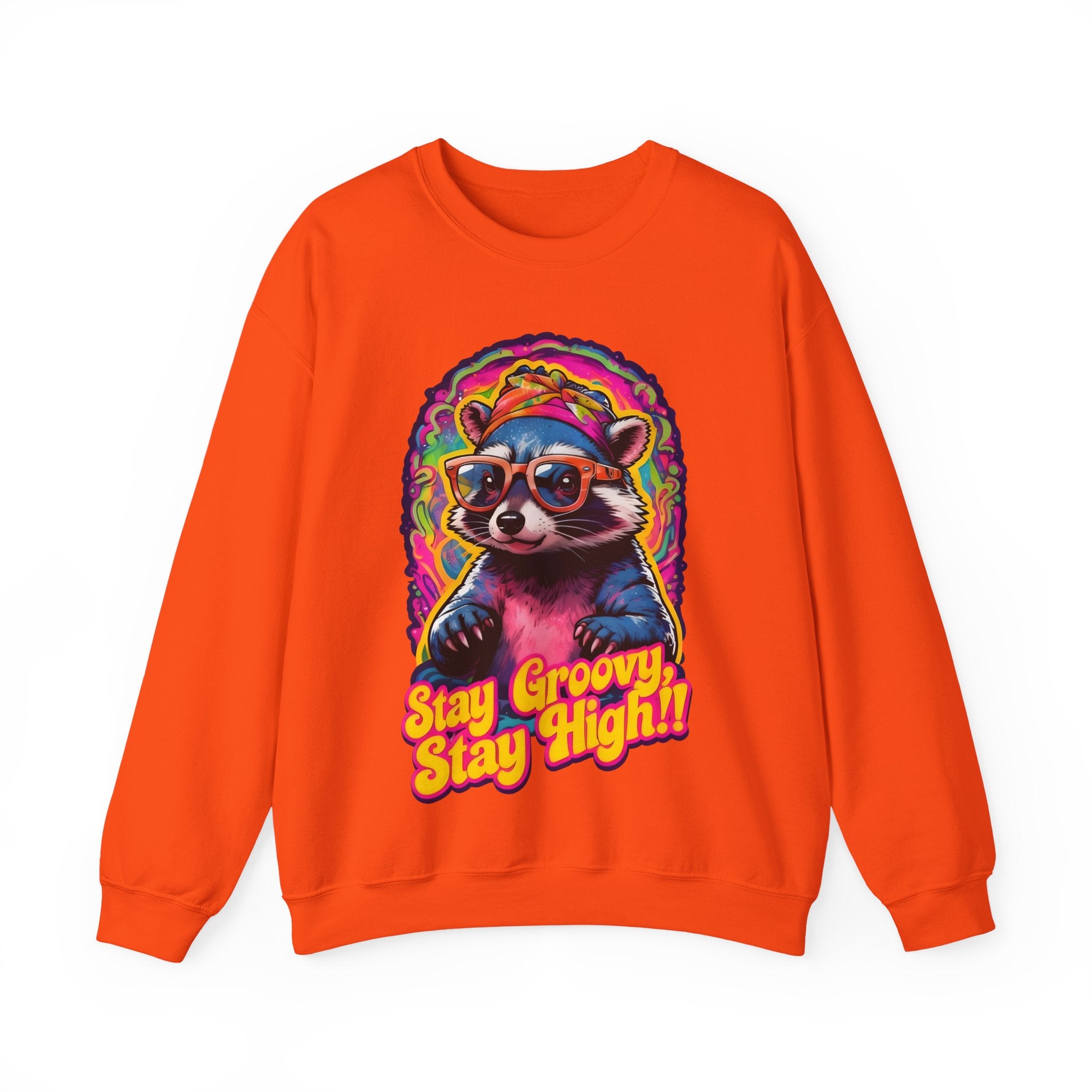 Stay Groovy Raccoon Sweatshirt