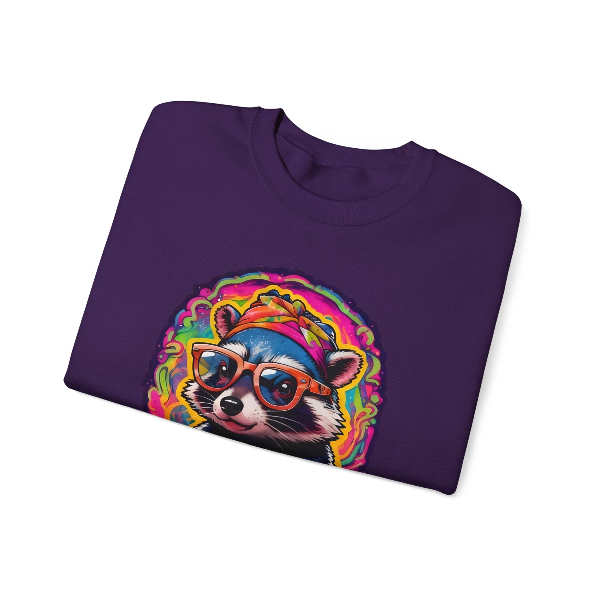 Stay Groovy Raccoon Sweatshirt