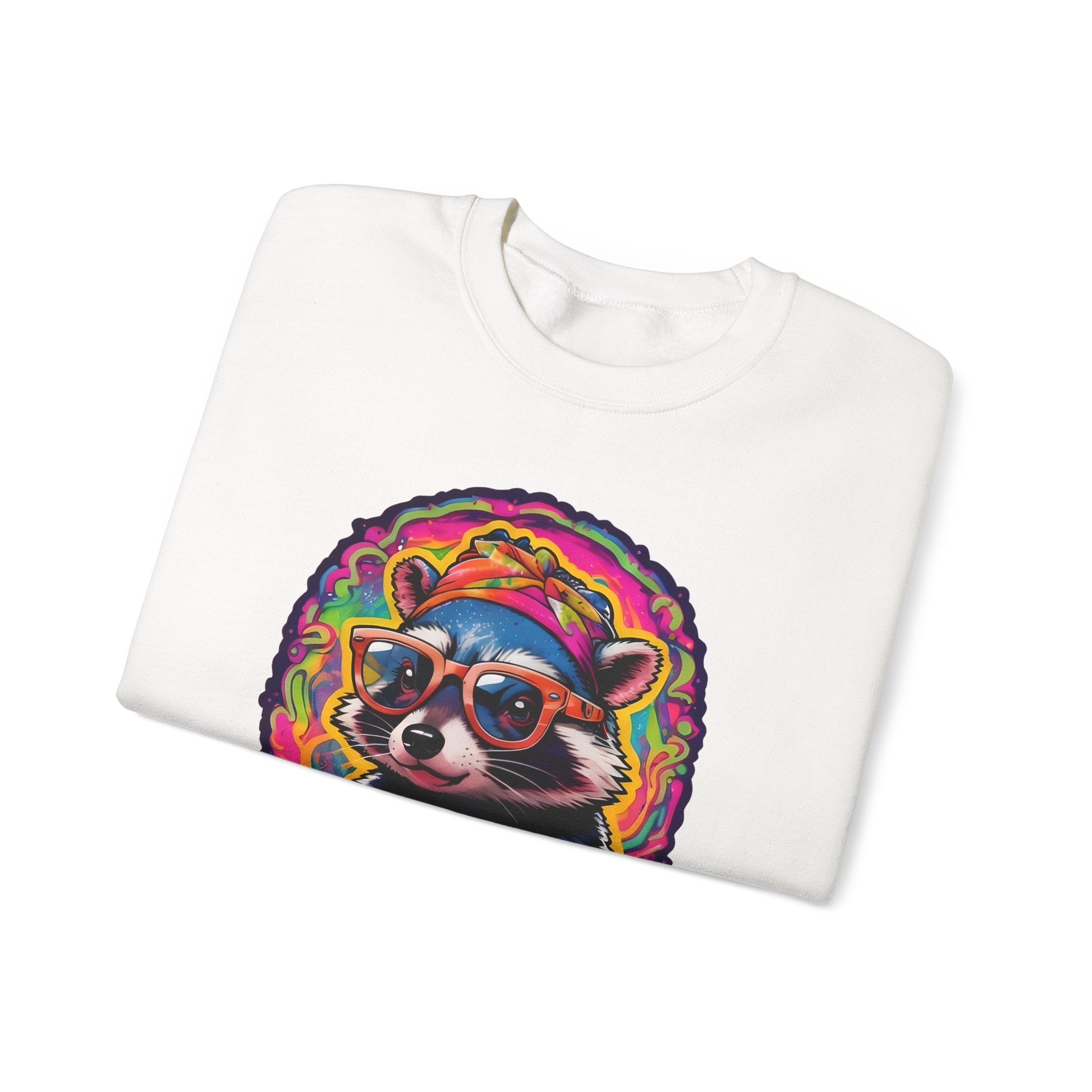 Stay Groovy Raccoon Sweatshirt