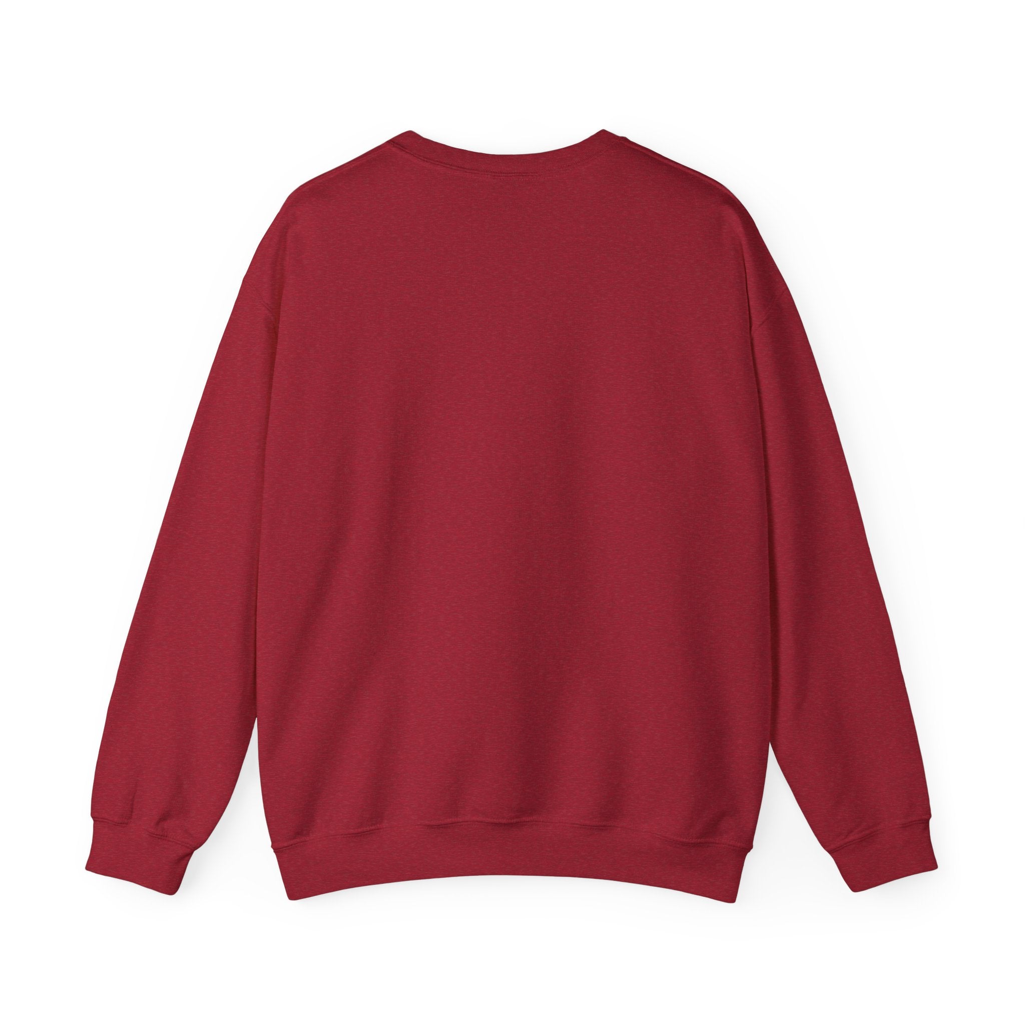 Stay Groovy Raccoon Sweatshirt