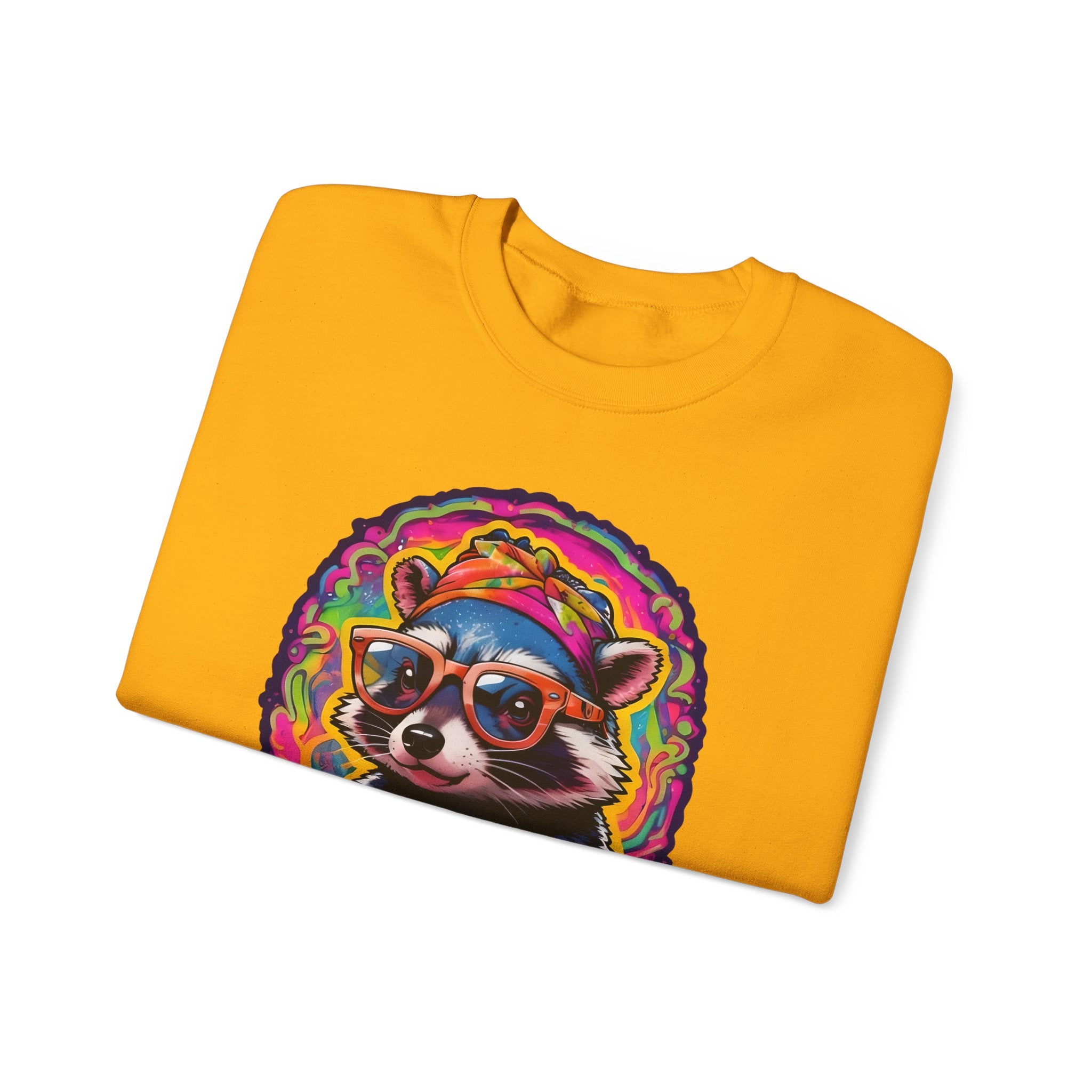 Stay Groovy Raccoon Sweatshirt