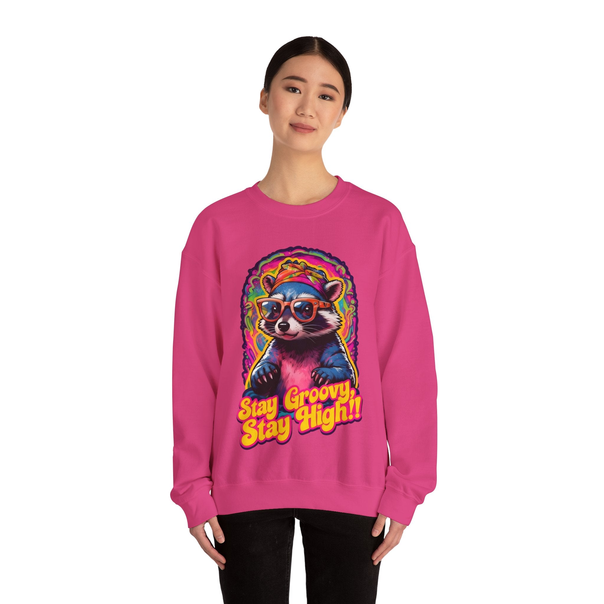 Stay Groovy Raccoon Sweatshirt