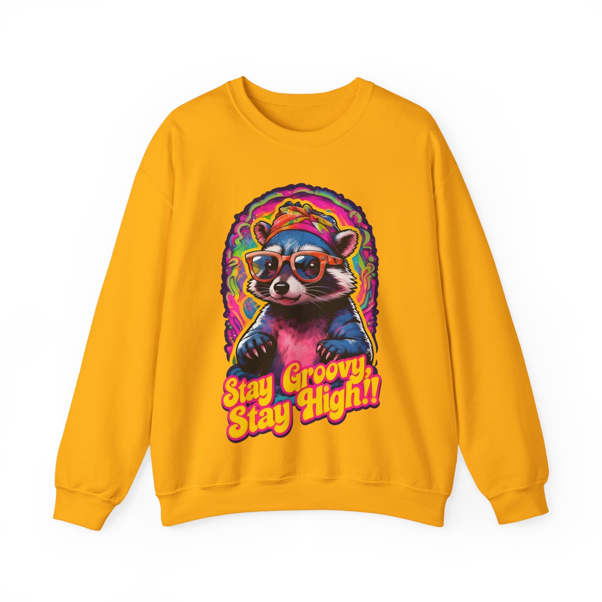 Stay Groovy Raccoon Sweatshirt