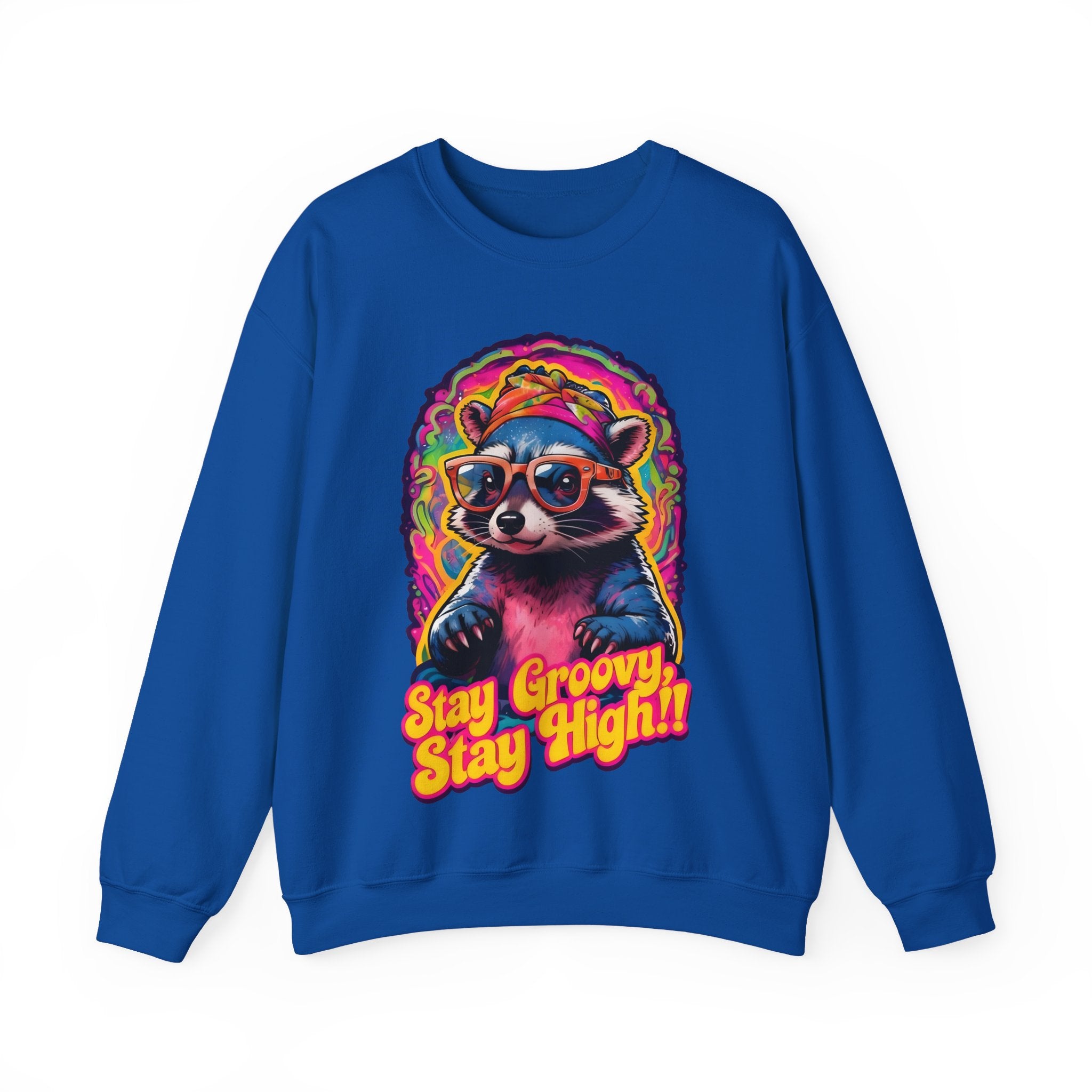Stay Groovy Raccoon Sweatshirt