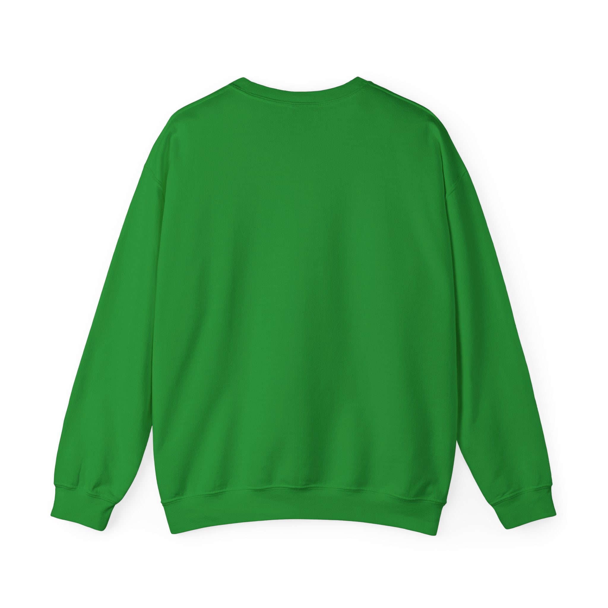 Stay Groovy Raccoon Sweatshirt