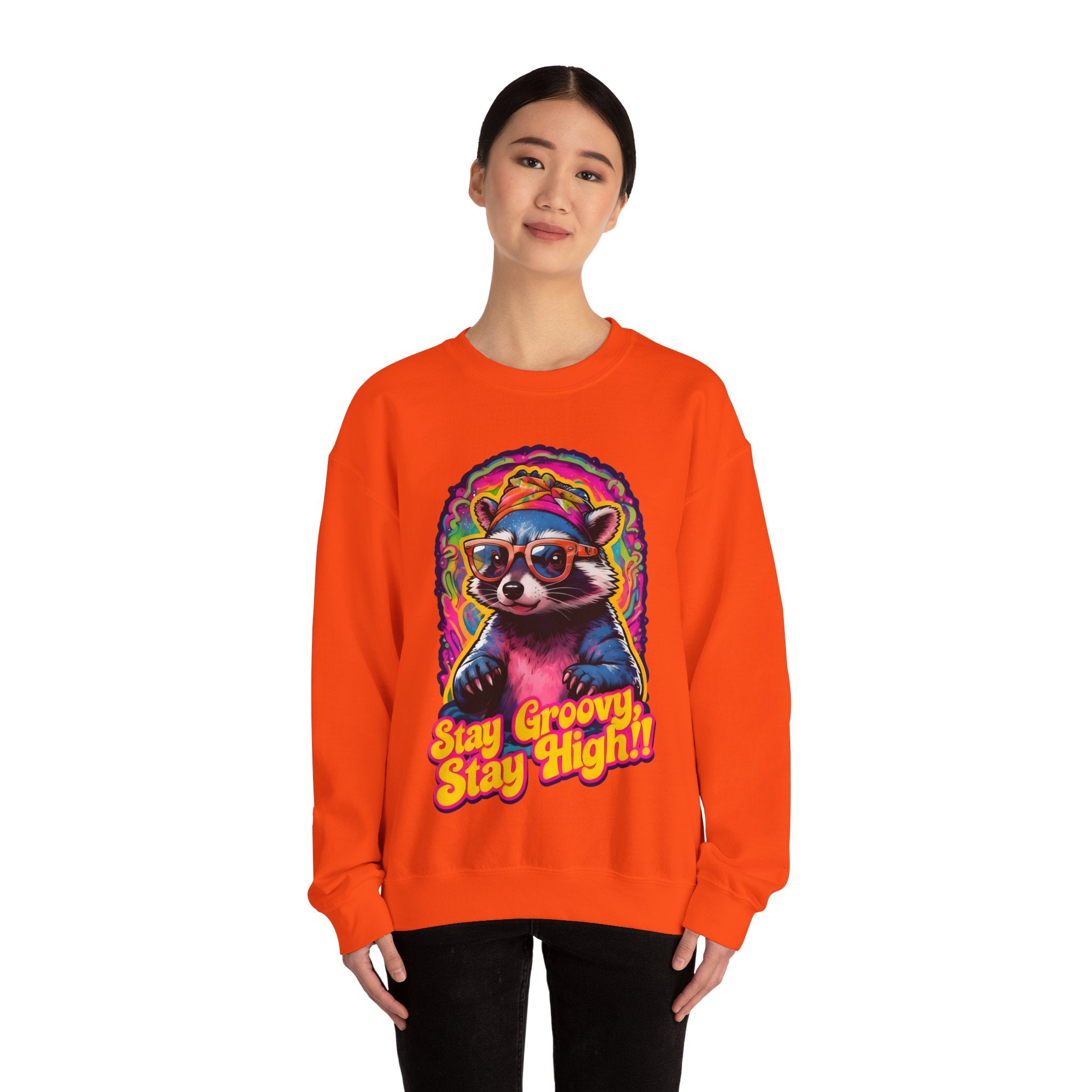 Stay Groovy Raccoon Sweatshirt