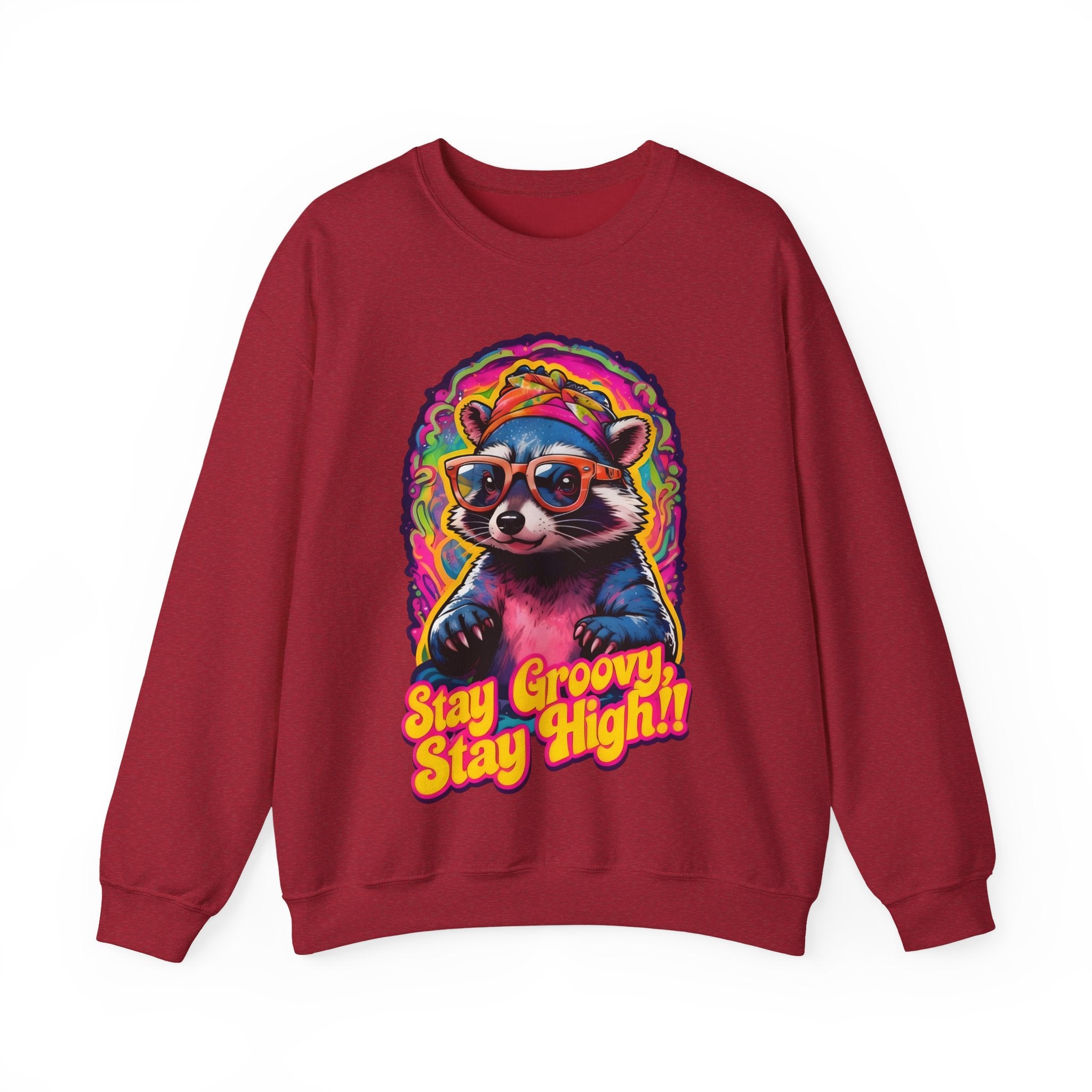 Stay Groovy Raccoon Sweatshirt