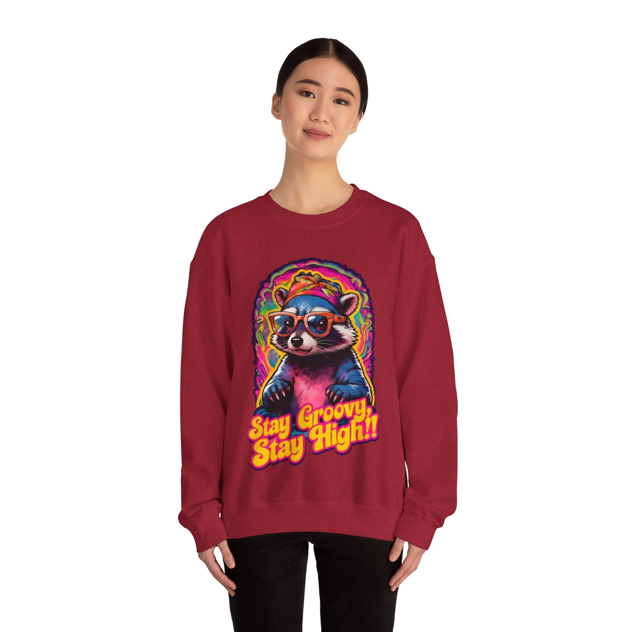 Stay Groovy Raccoon Sweatshirt
