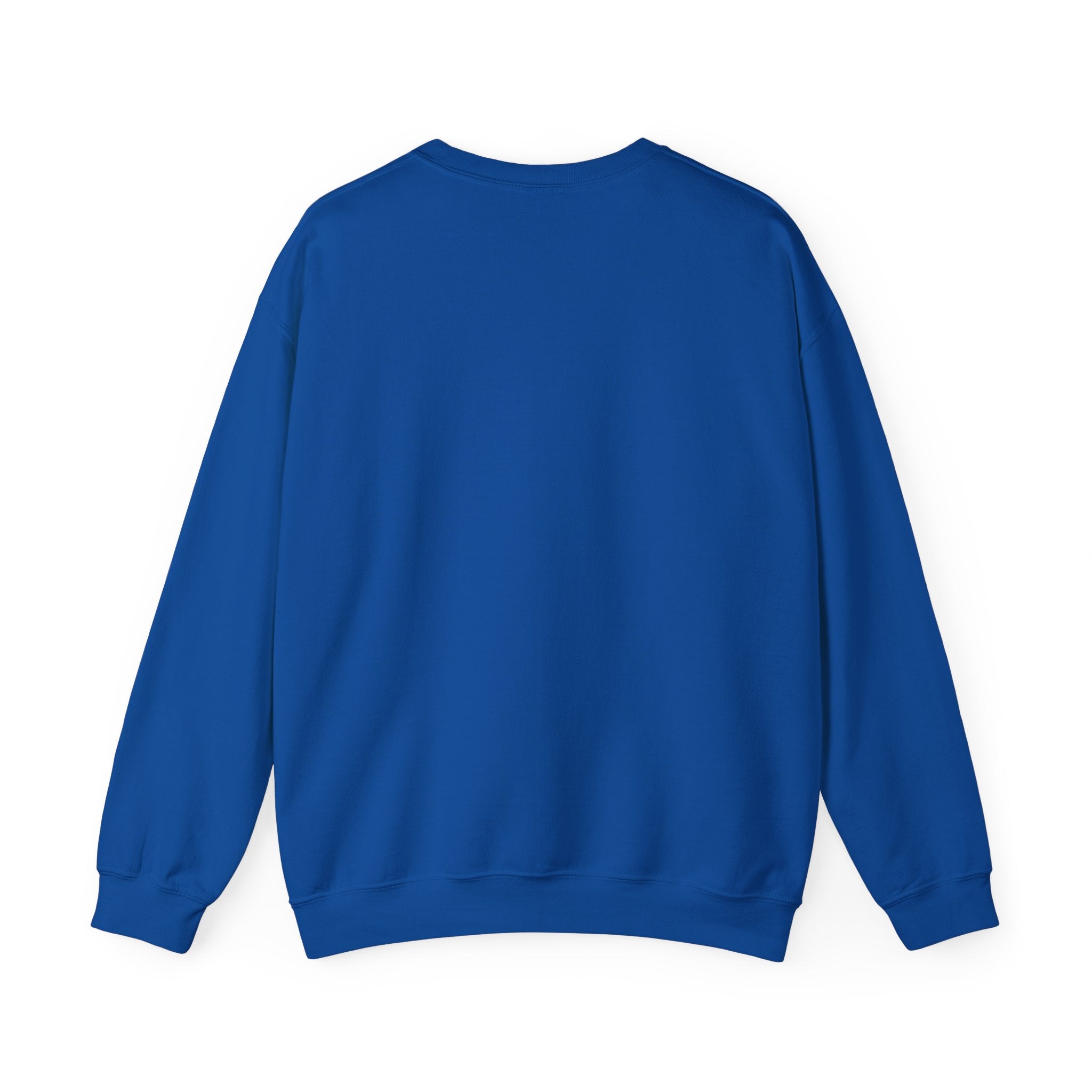 Stay Groovy Raccoon Sweatshirt