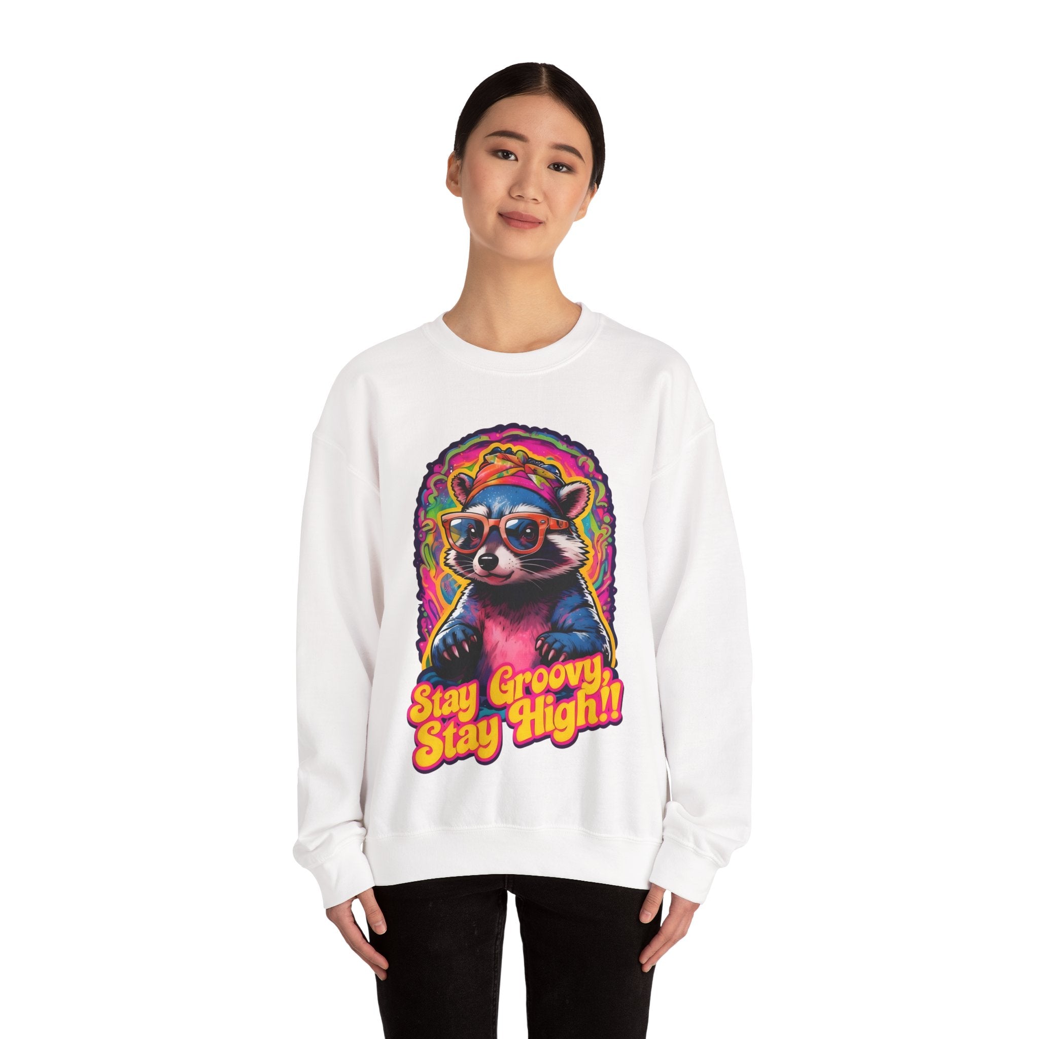 Stay Groovy Raccoon Sweatshirt