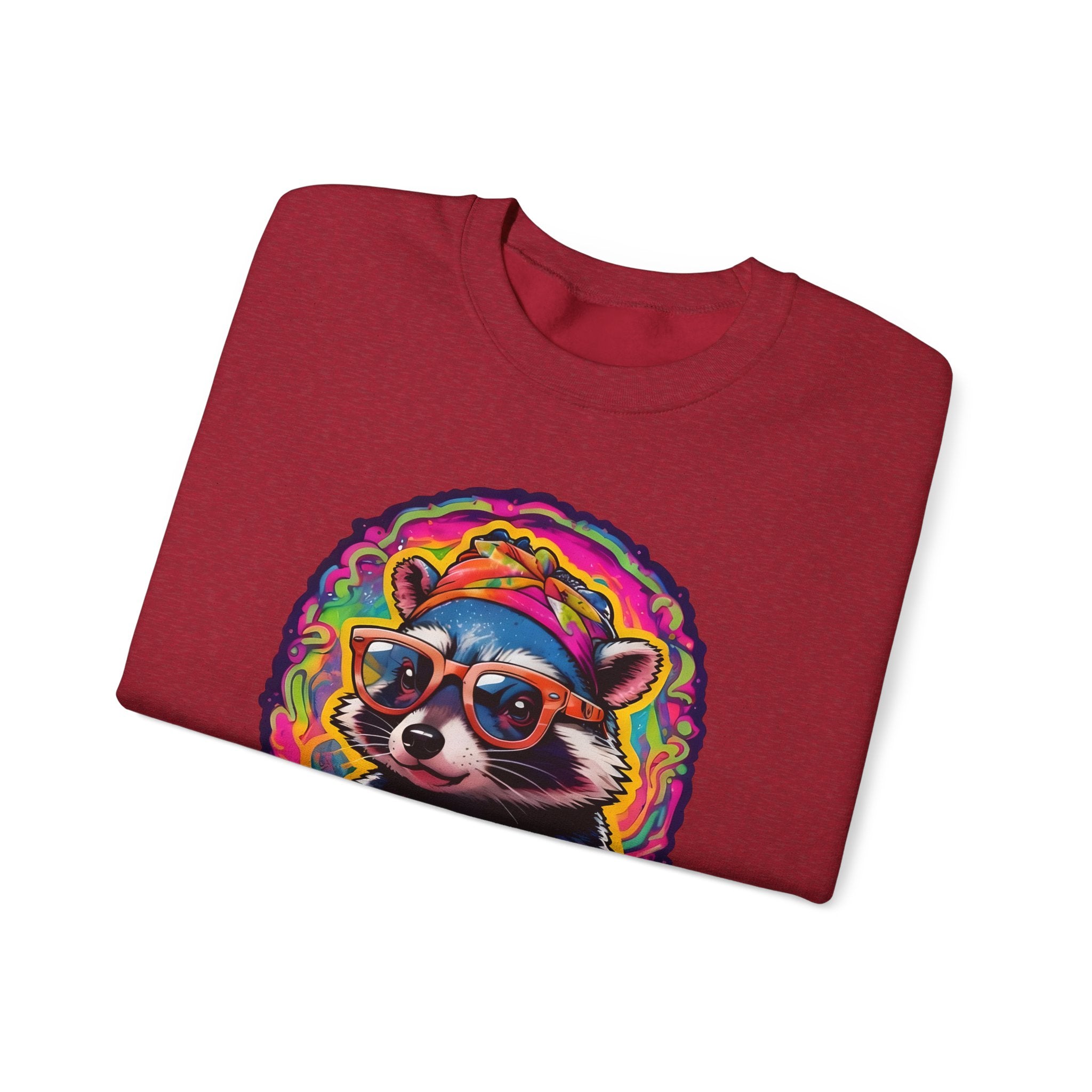 Stay Groovy Raccoon Sweatshirt