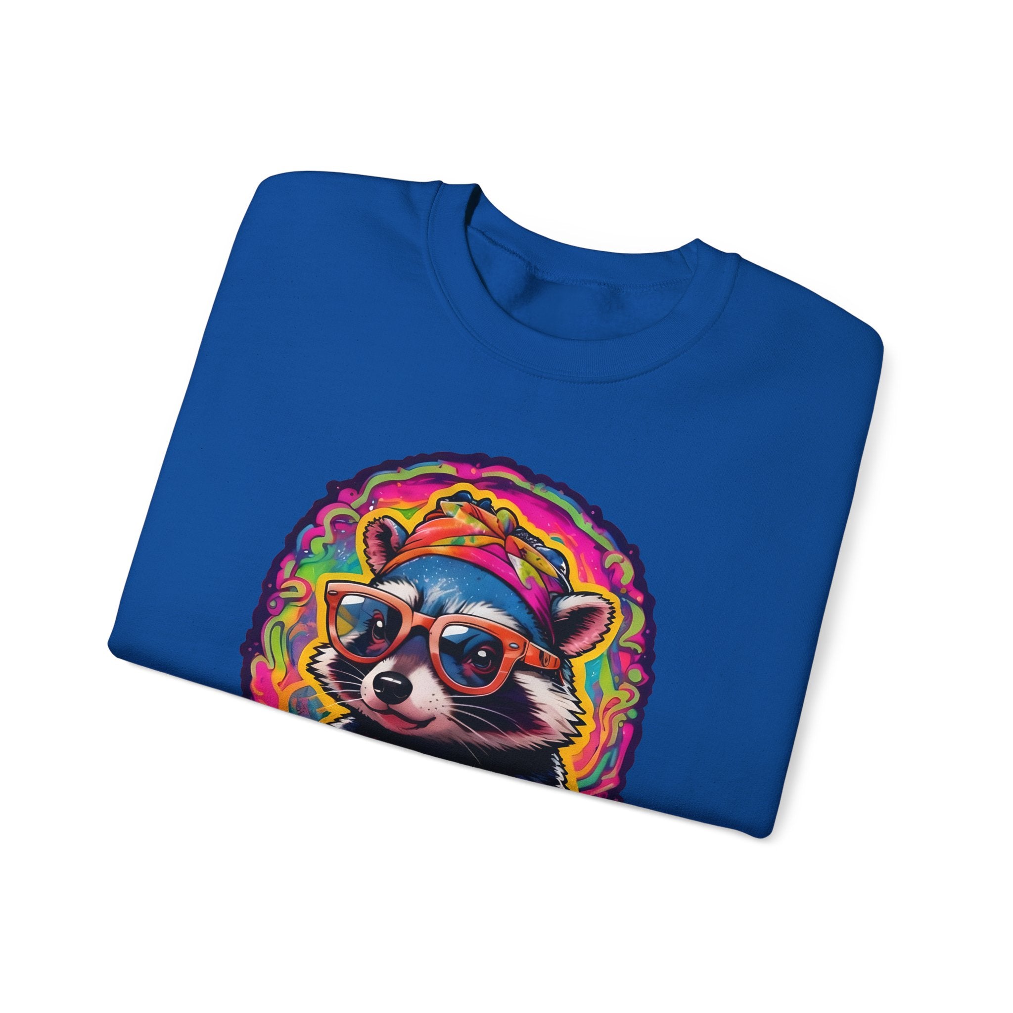 Stay Groovy Raccoon Sweatshirt