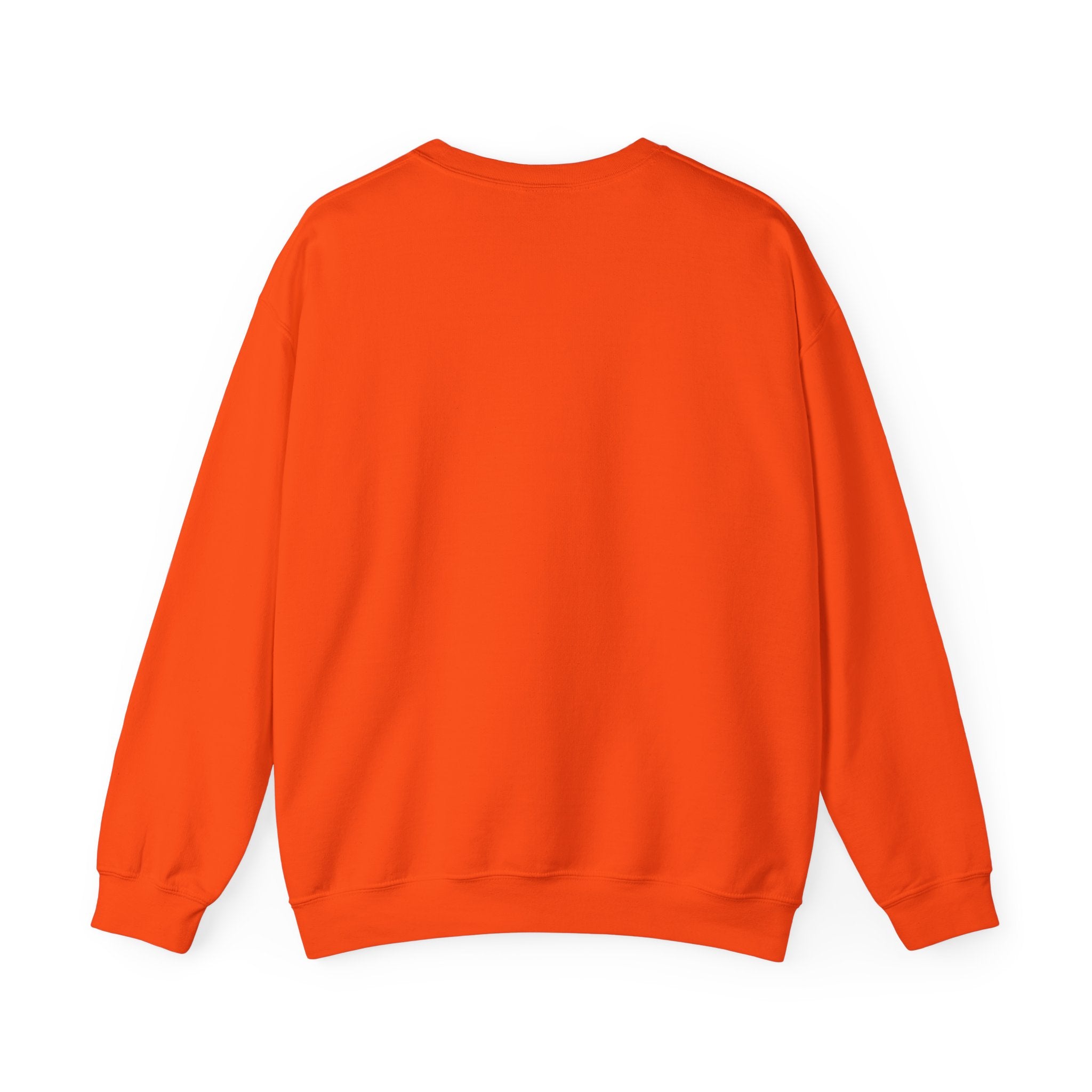 Stay Groovy Raccoon Sweatshirt