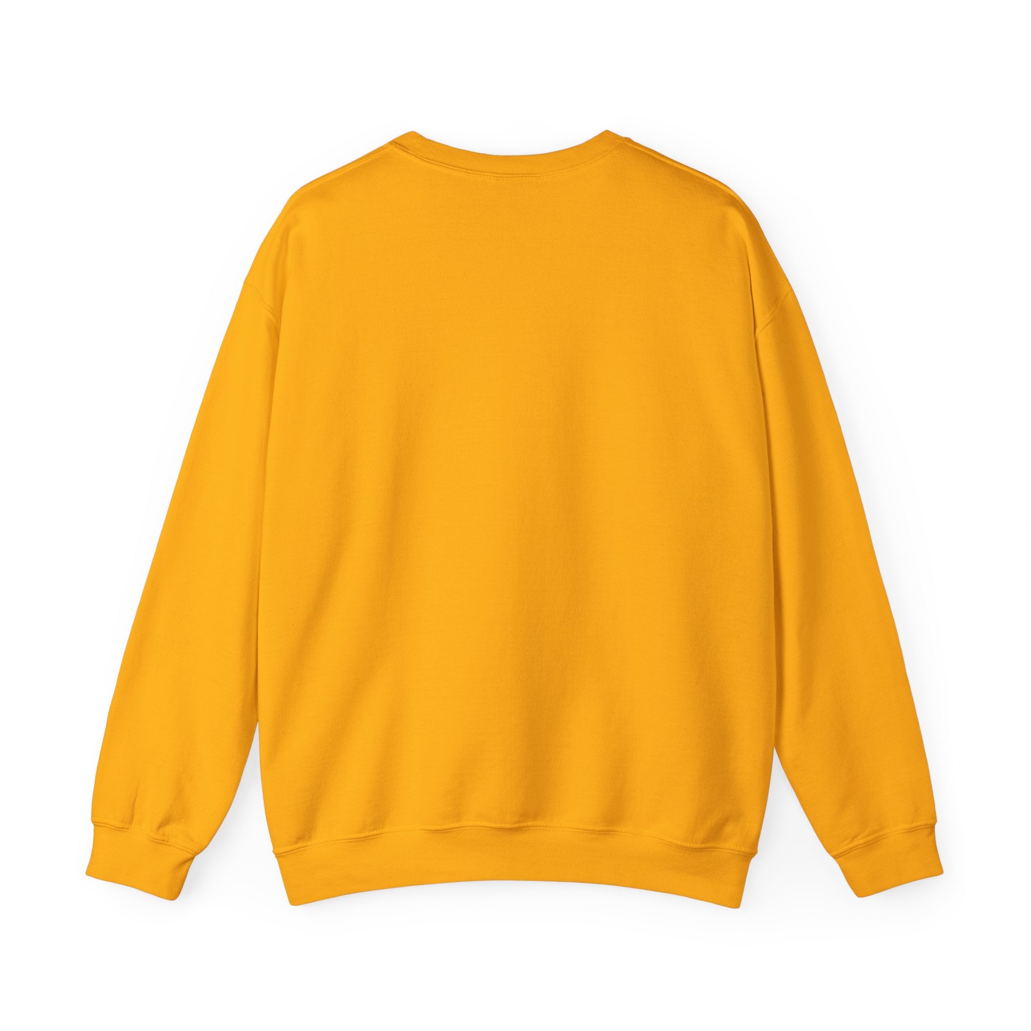 Stay Groovy Raccoon Sweatshirt