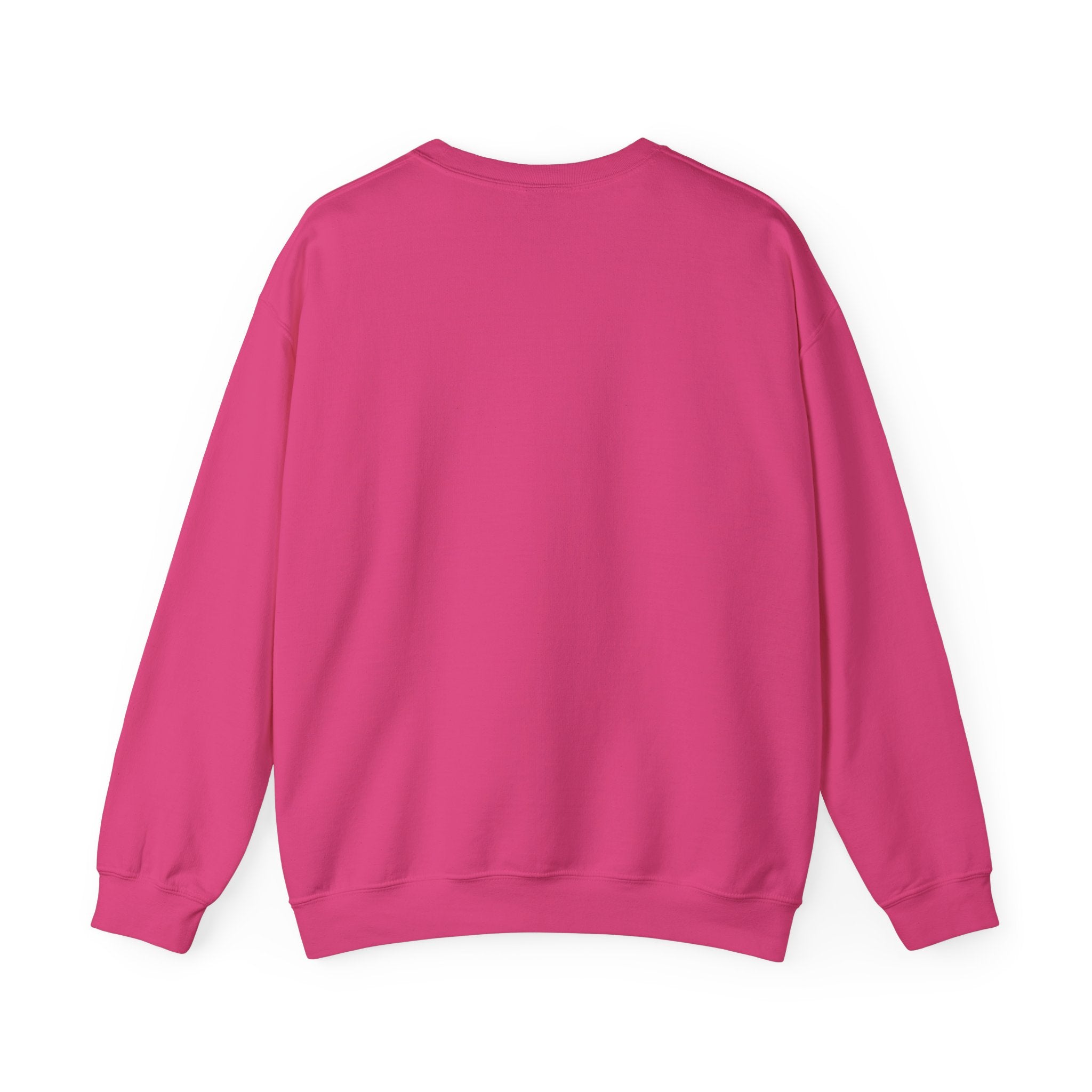 Stay Groovy Raccoon Sweatshirt