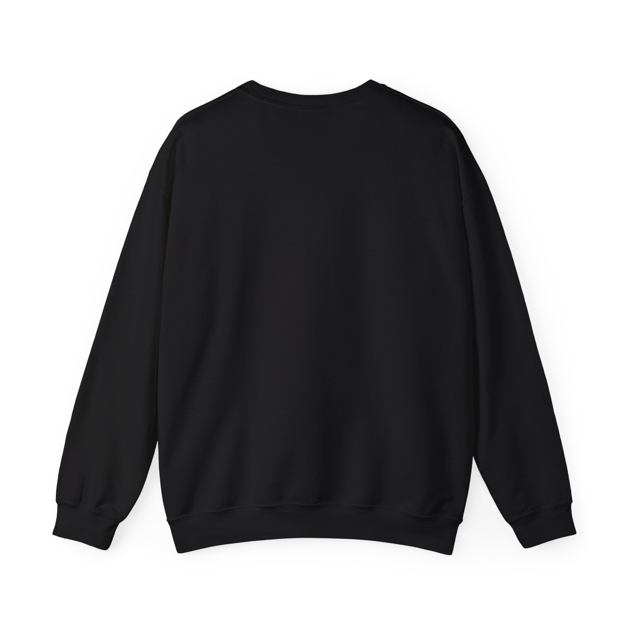 Stay Groovy Raccoon Sweatshirt
