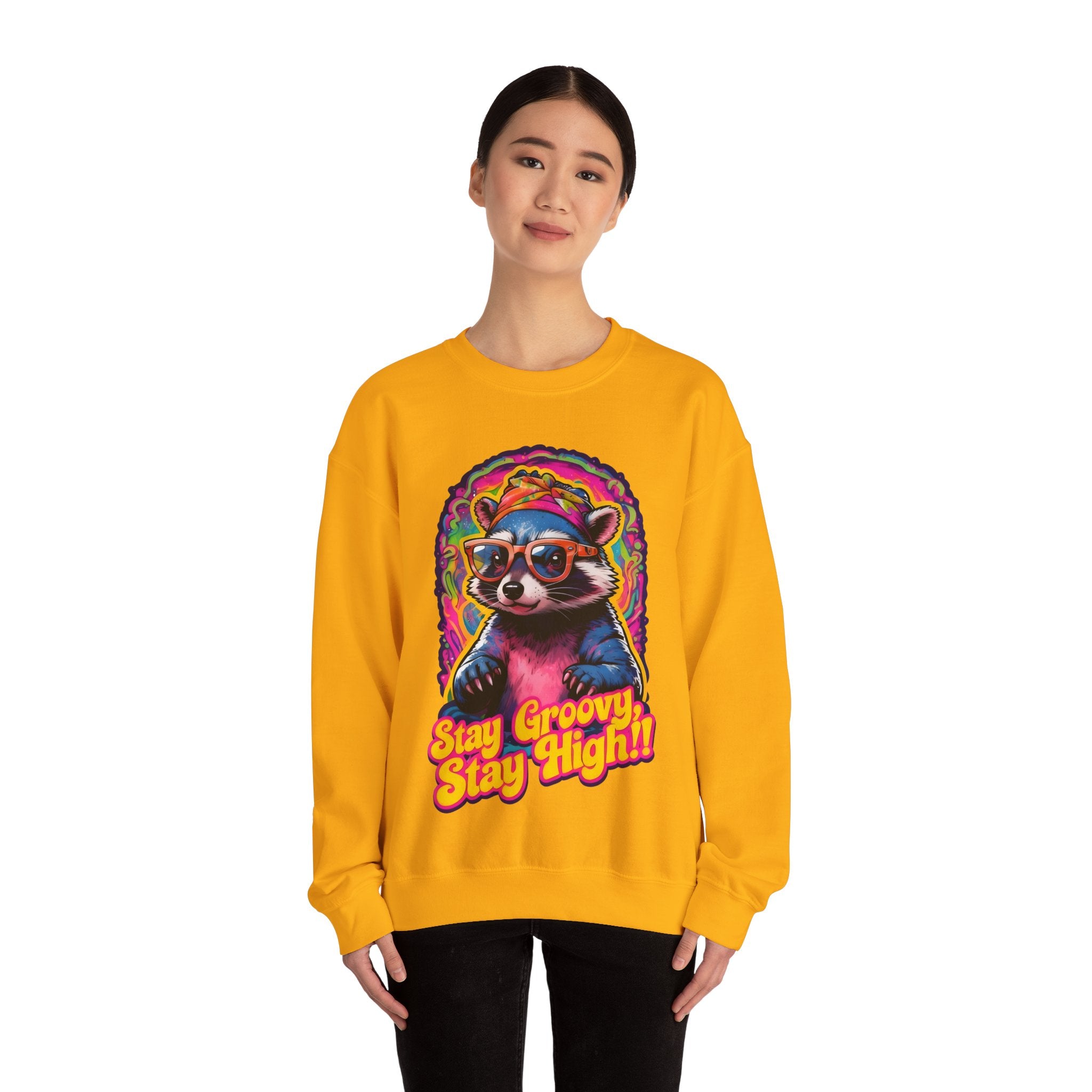 Stay Groovy Raccoon Sweatshirt