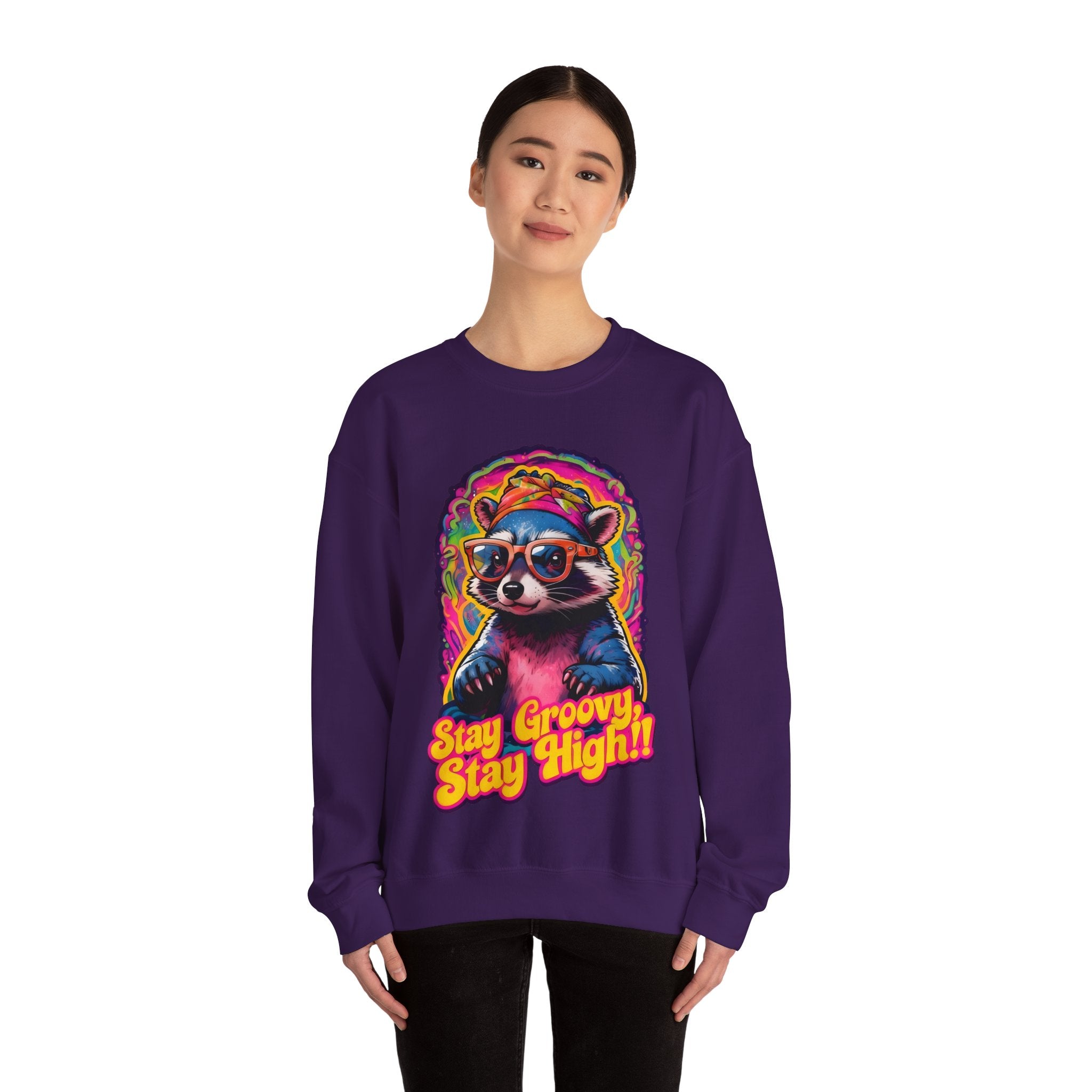 Stay Groovy Raccoon Sweatshirt