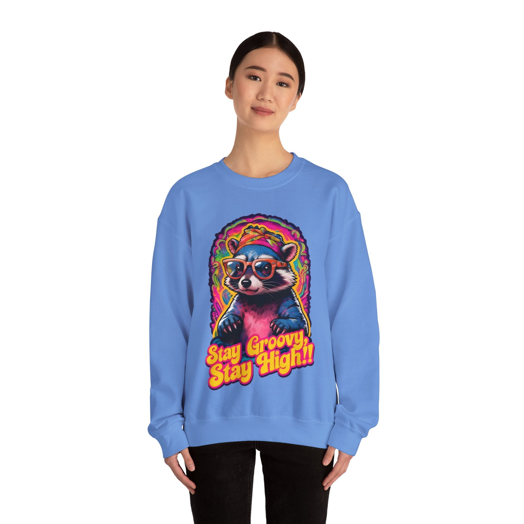 Stay Groovy Raccoon Sweatshirt
