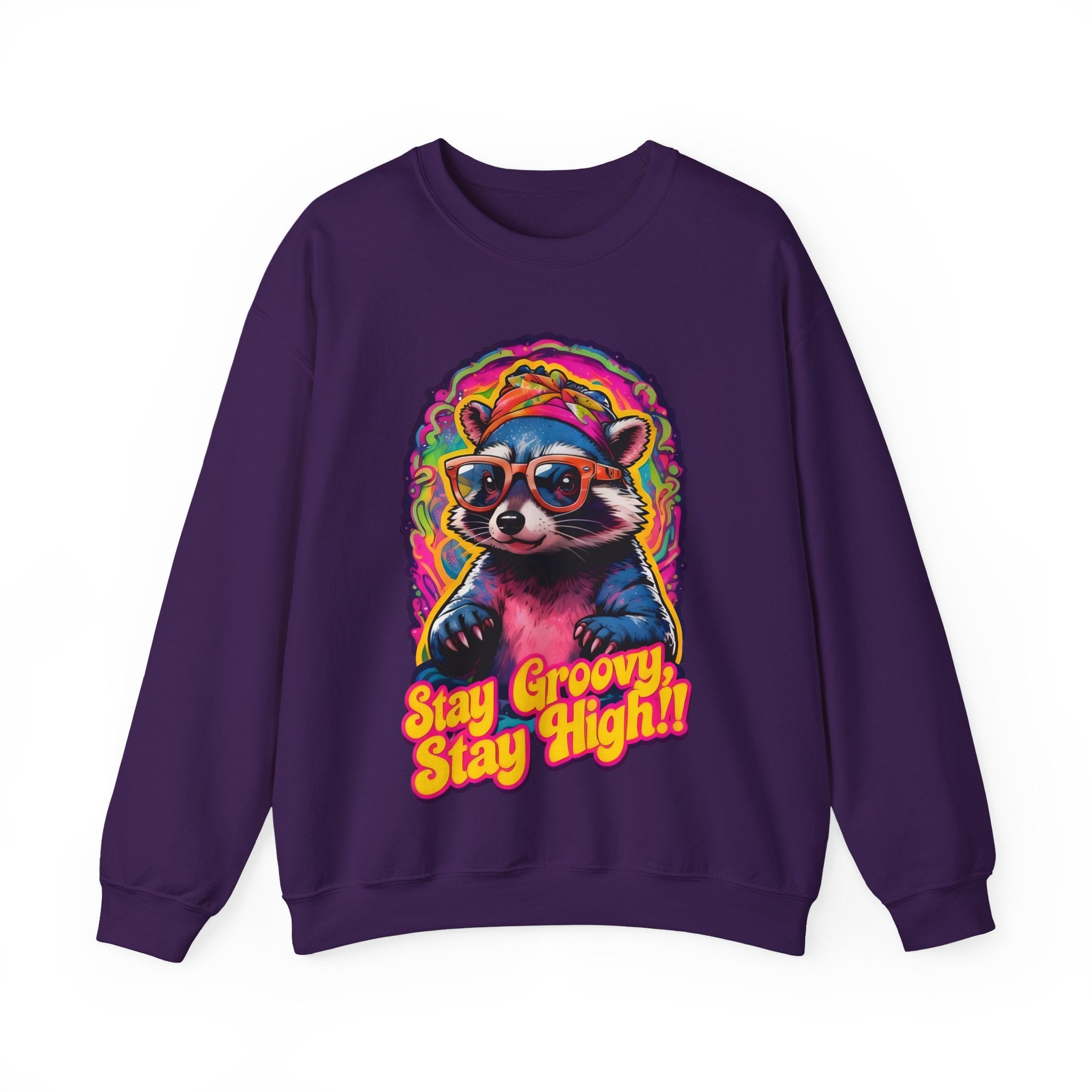 Stay Groovy Raccoon Sweatshirt