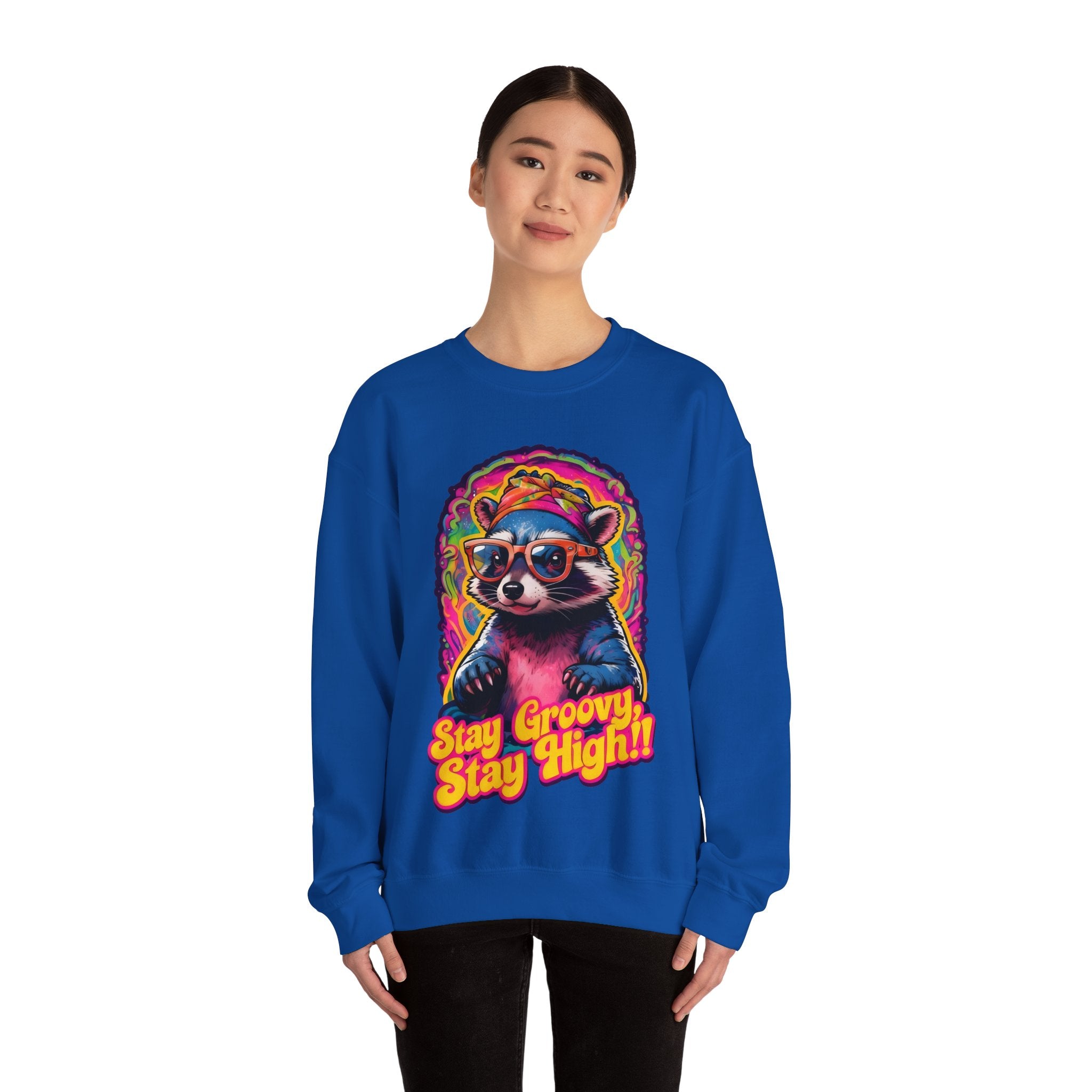 Stay Groovy Raccoon Sweatshirt