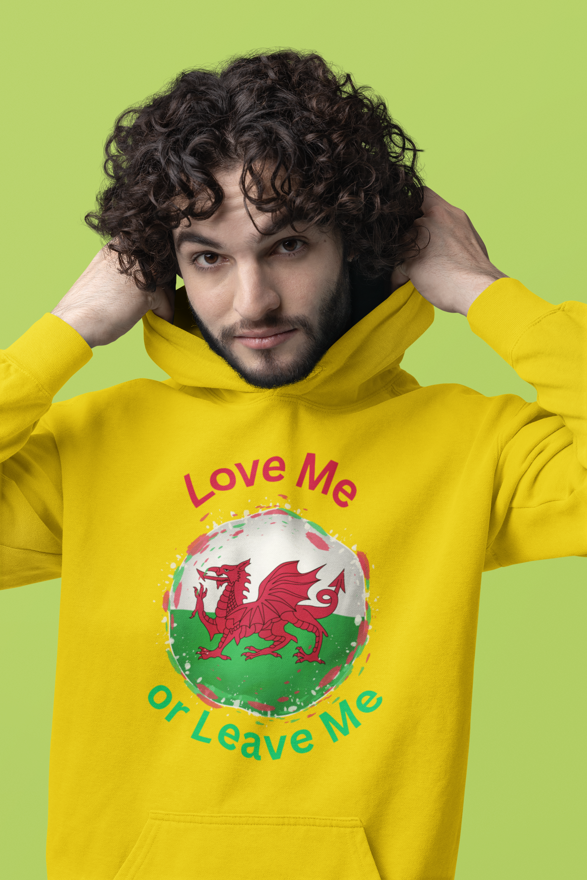 Welsh Pride Hoodie, Cozy College Sweatshirt, Unisex Hoodie, Love Me or Leave Me Apparel, Casual Gift for Students