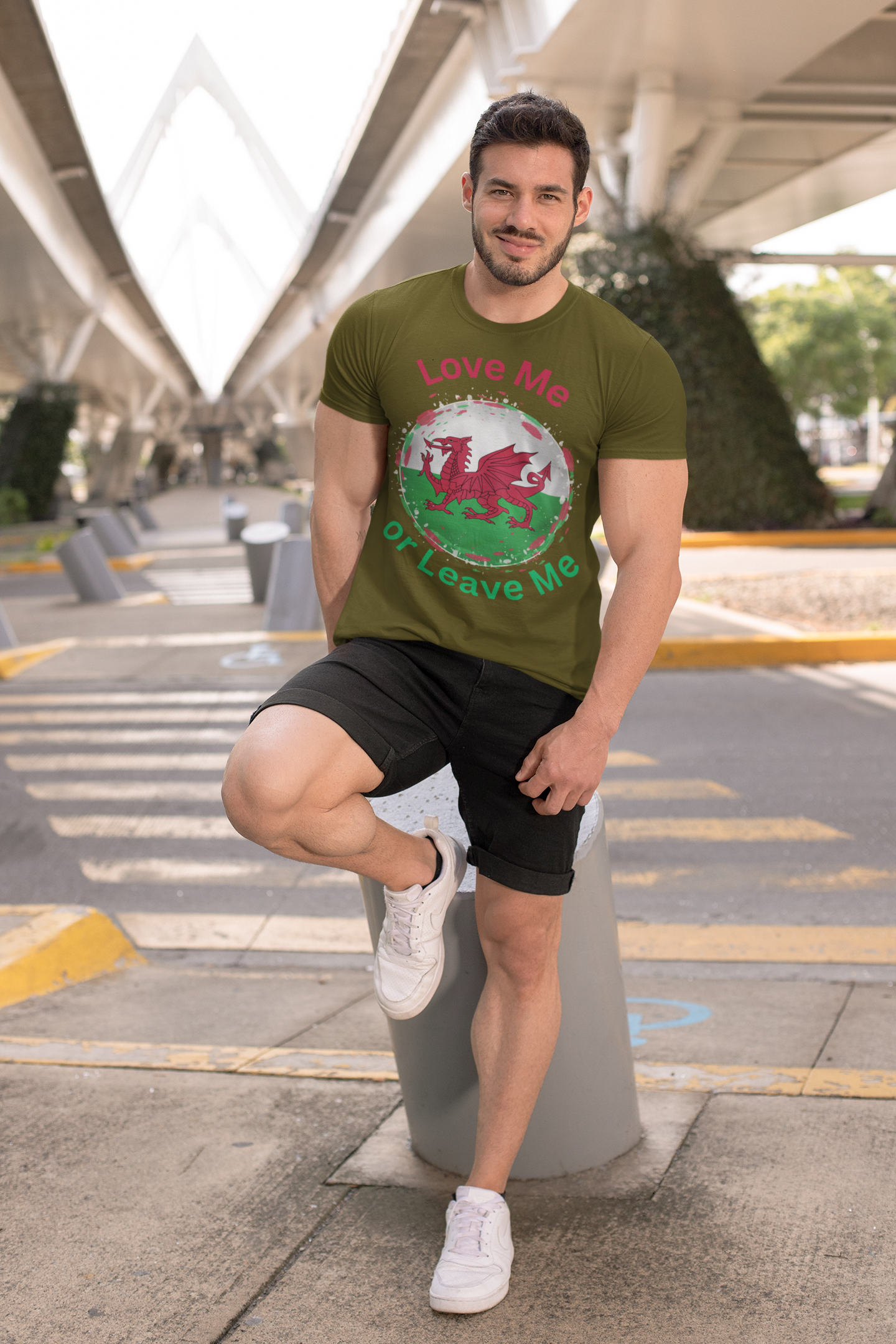 Love Me or Leave Me Welsh Dragon V-Neck Tee, Unisex Shirt for Celebrations, Gift for Wales Fans, Casual Wear, Unique Tees