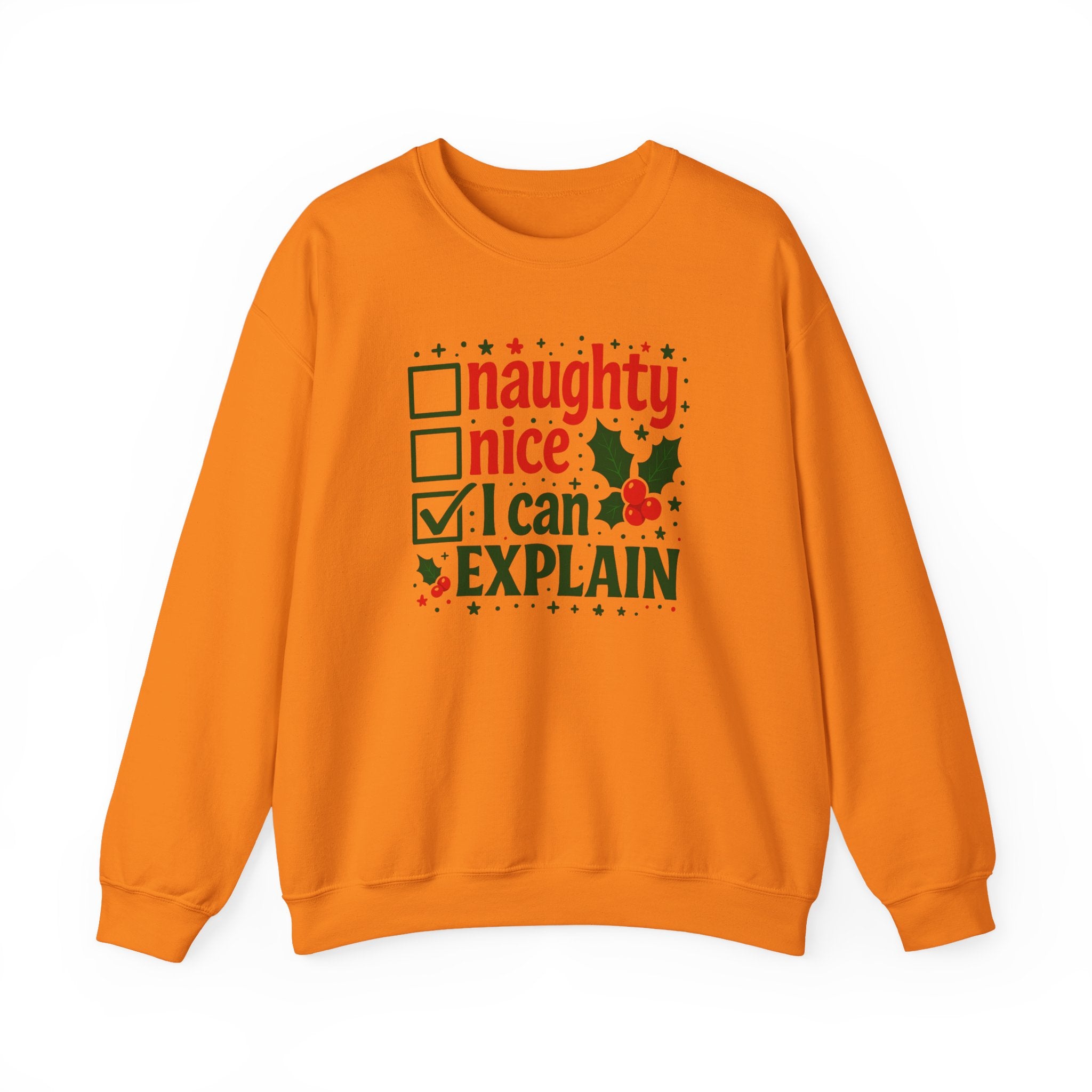 Christmas Sweatshirt — “Naughty / Nice / I Can Explain” Holiday Crewneck