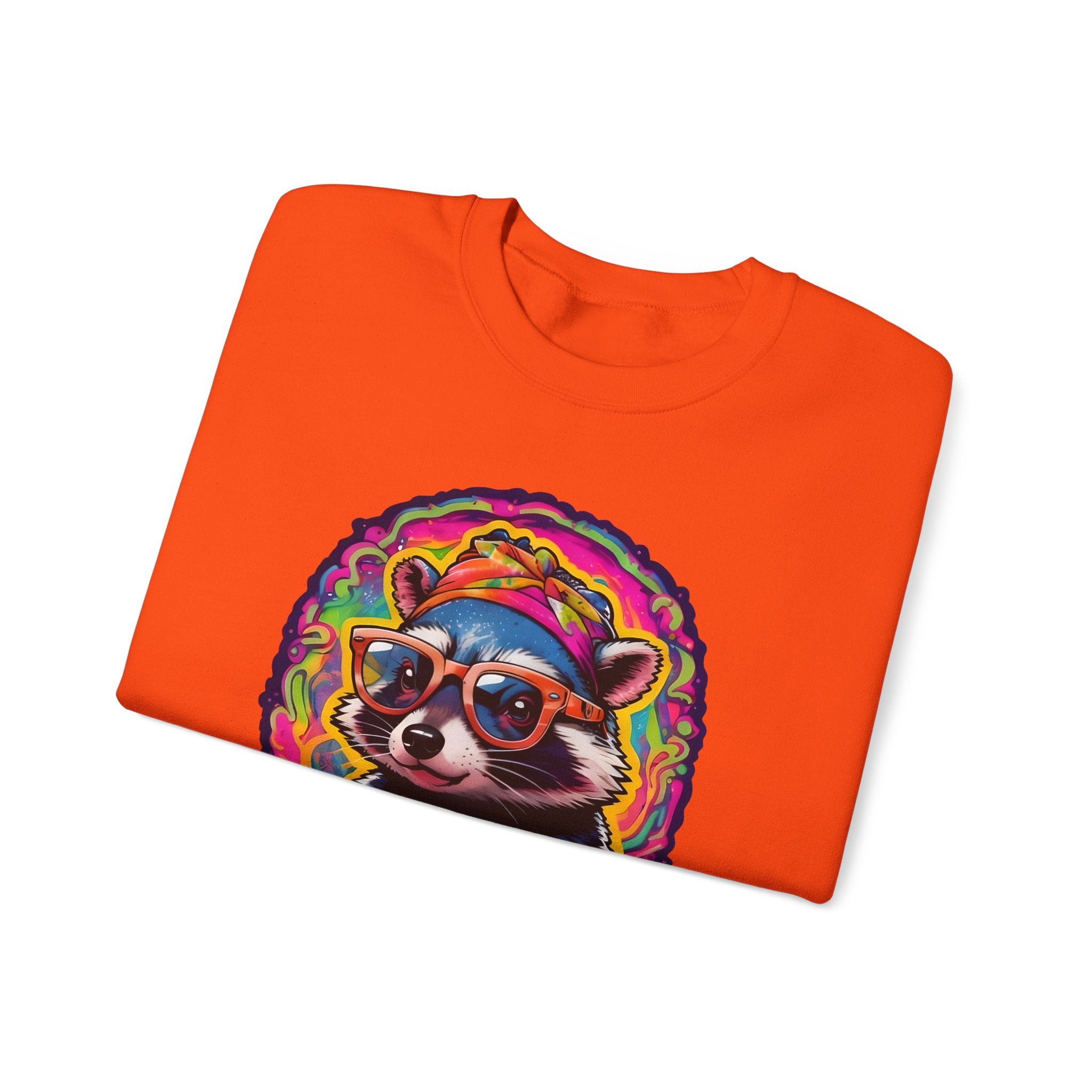 Stay Groovy Raccoon Sweatshirt