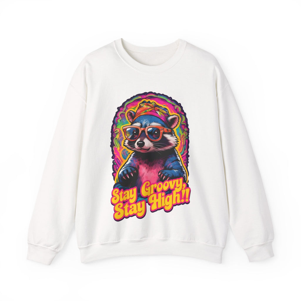 Stay Groovy Raccoon Sweatshirt