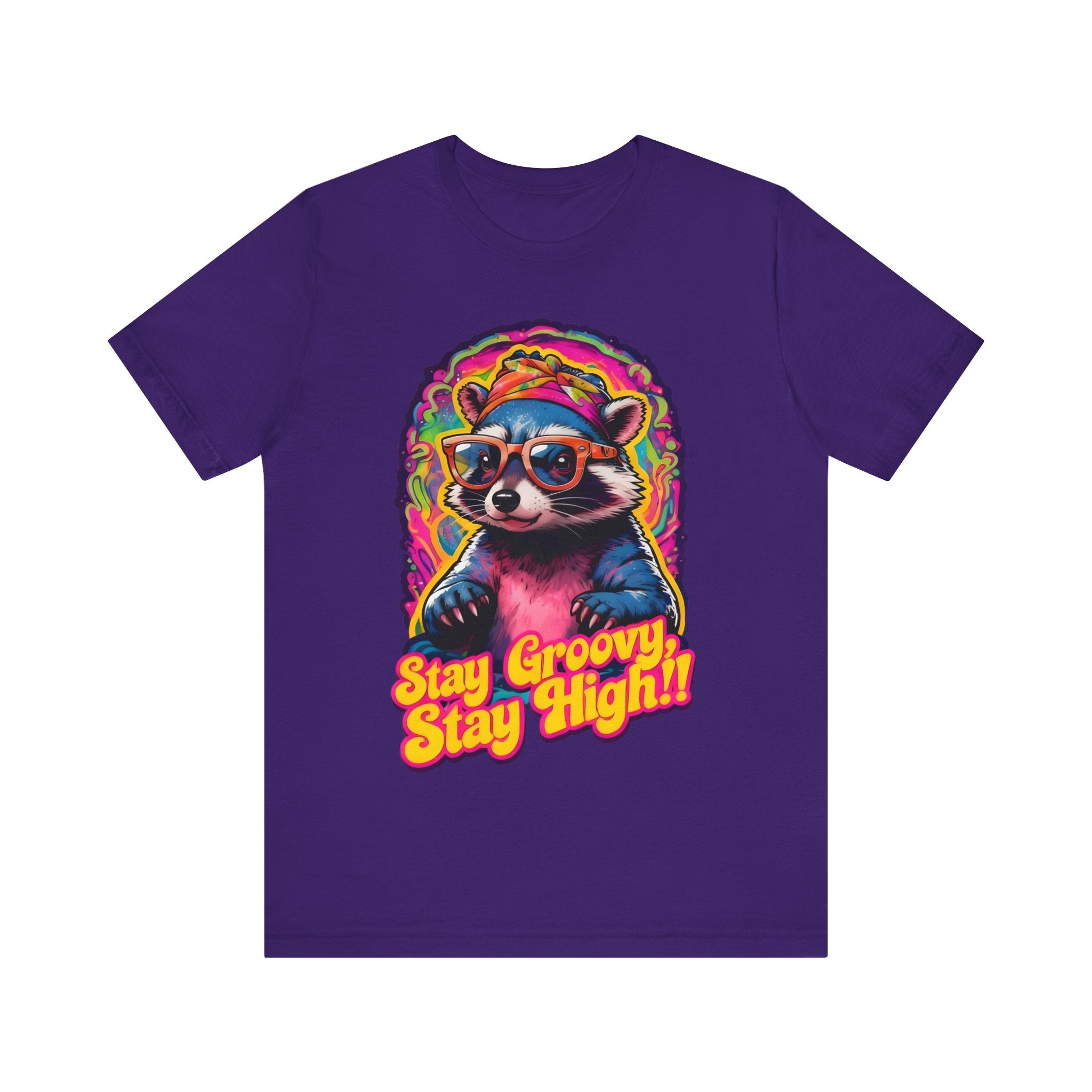 Stay Groovy Raccoon Tee - Unisex Jersey Short Sleeve T-Shirt