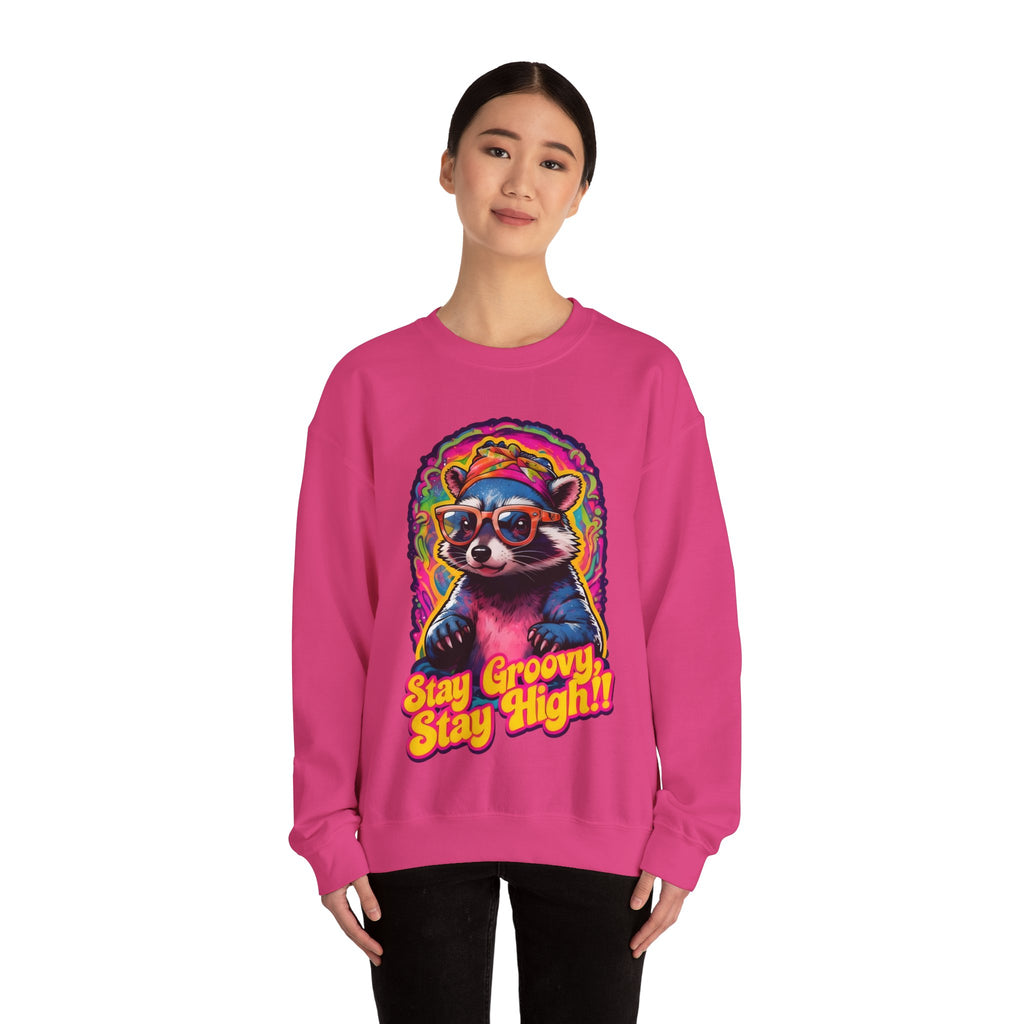 Stay Groovy Raccoon Sweatshirt