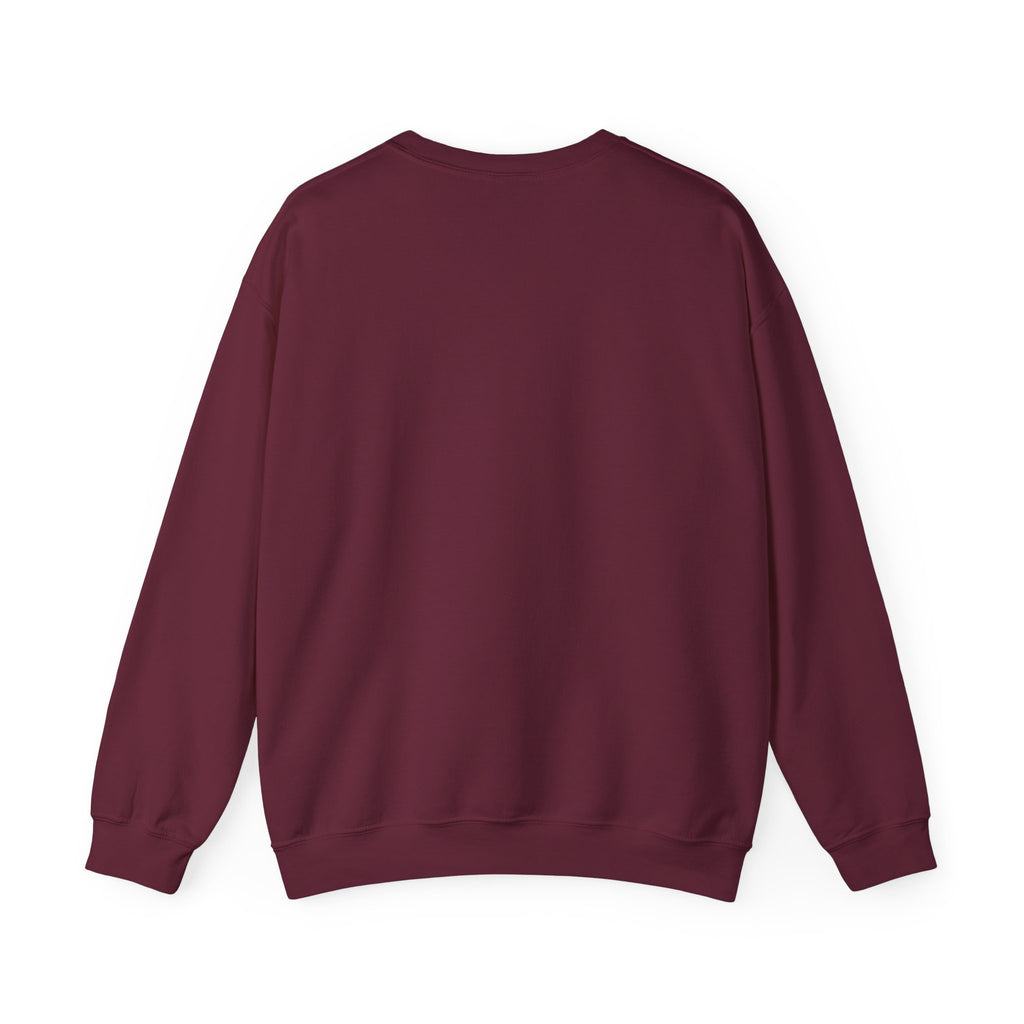 Stay Groovy Raccoon Sweatshirt
