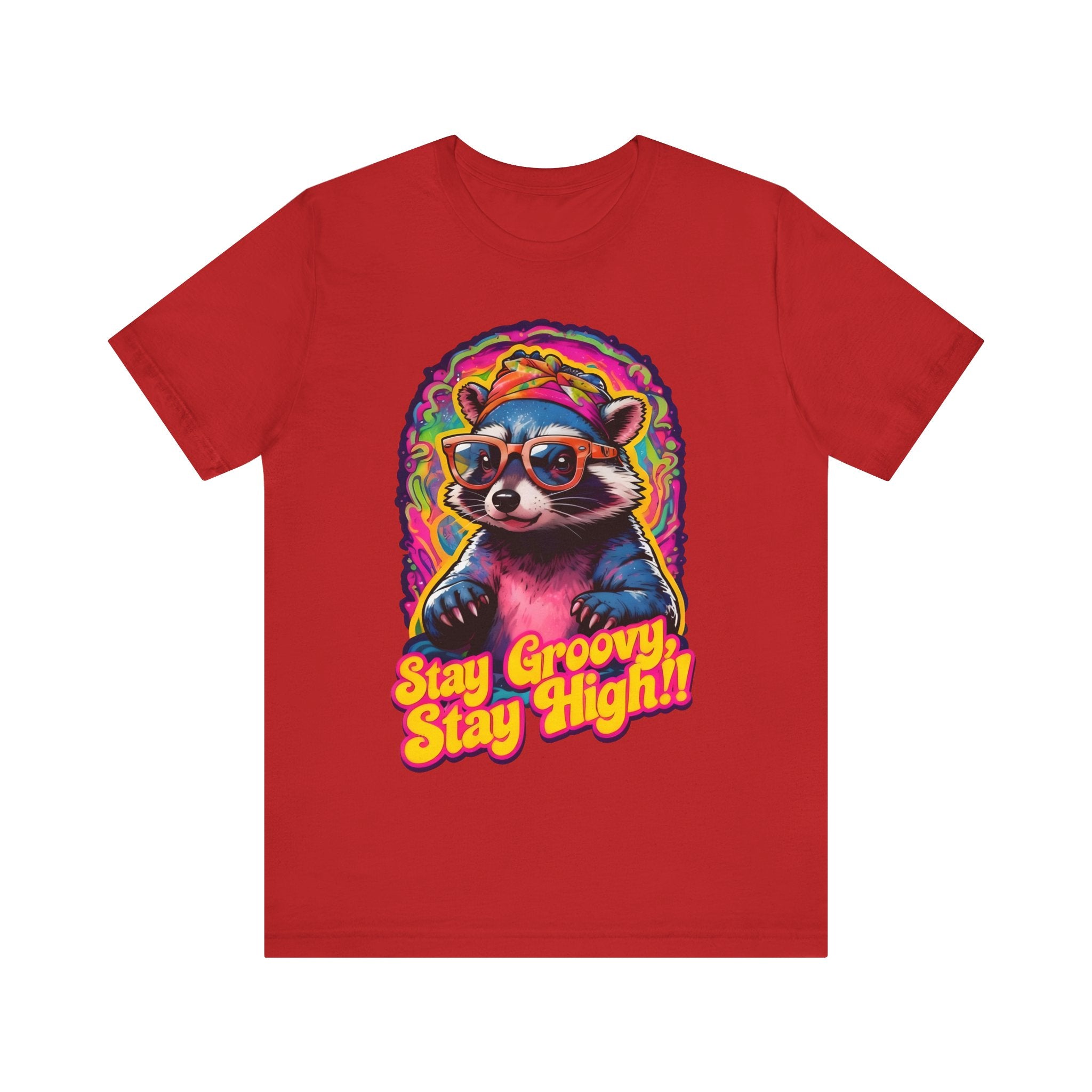 Stay Groovy Raccoon Tee - Unisex Jersey Short Sleeve T-Shirt