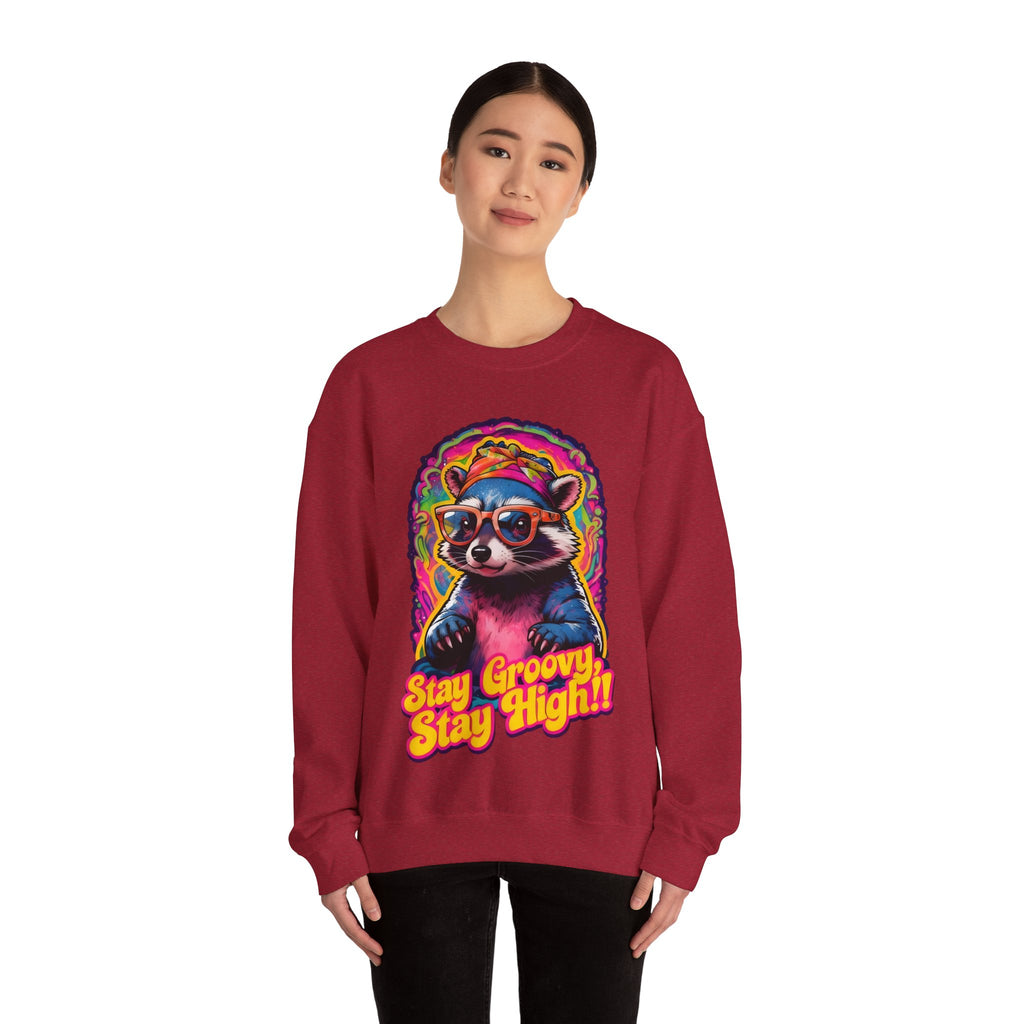 Stay Groovy Raccoon Sweatshirt
