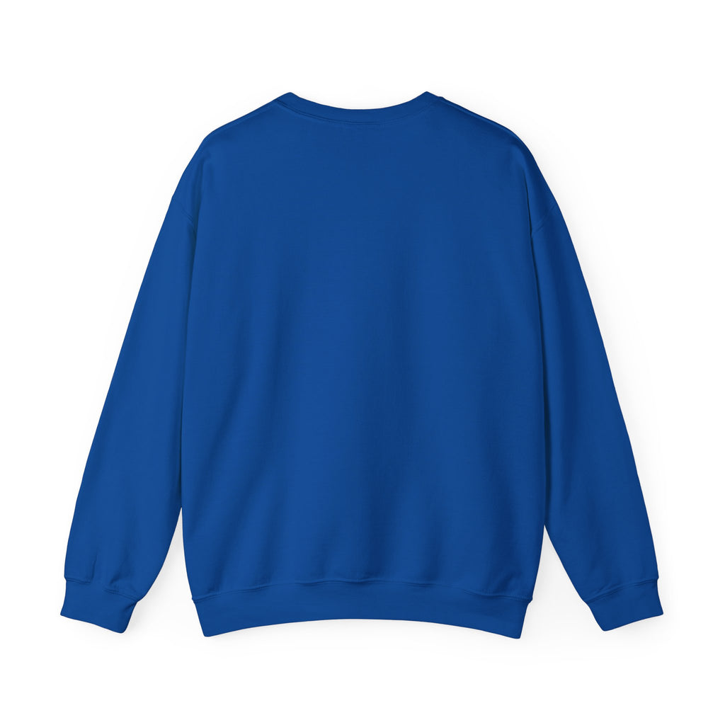 Stay Groovy Raccoon Sweatshirt