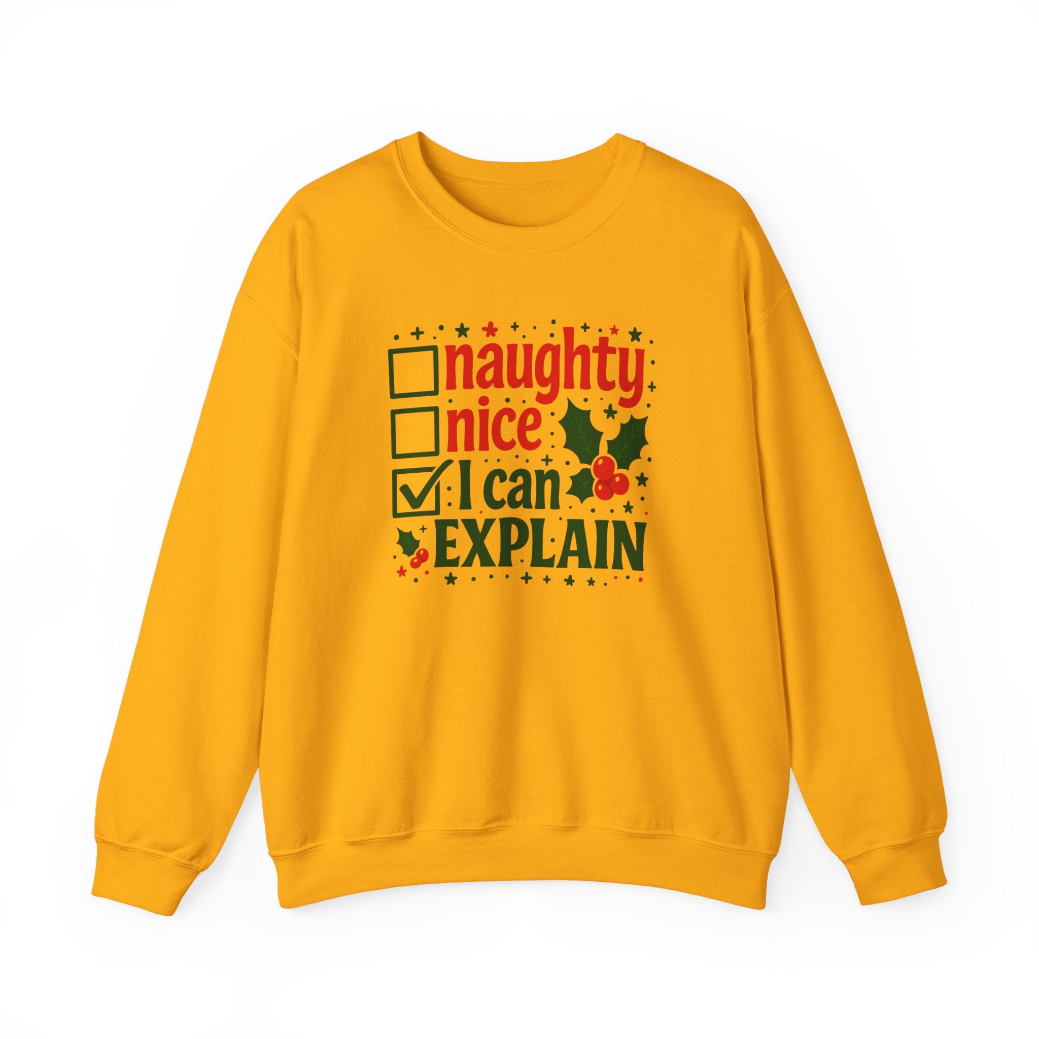 Christmas Sweatshirt — “Naughty / Nice / I Can Explain” Holiday Crewneck