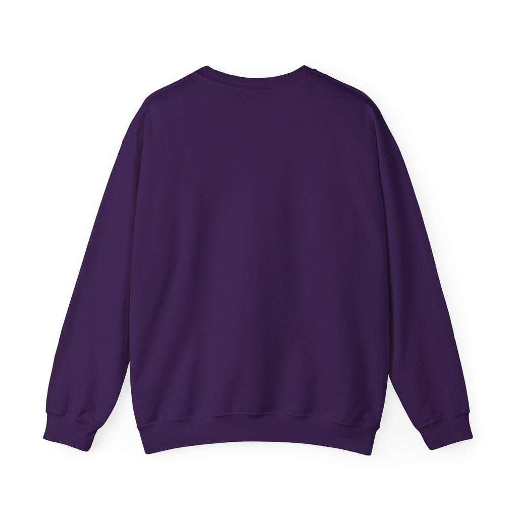 Stay Groovy Raccoon Sweatshirt