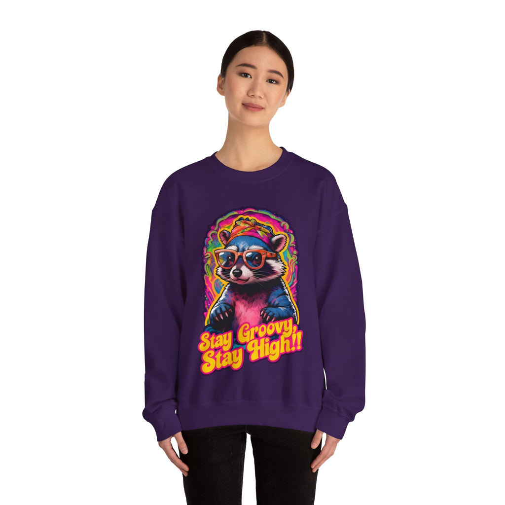 Stay Groovy Raccoon Sweatshirt