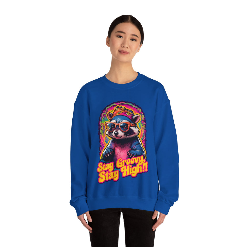 Stay Groovy Raccoon Sweatshirt